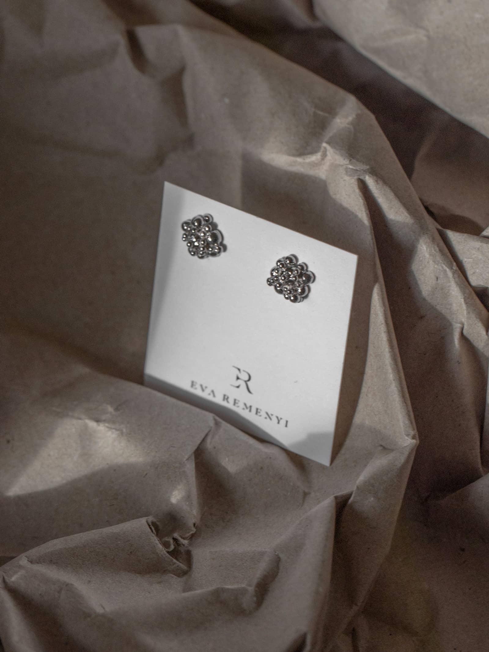 Céleste Deux Small Earrings Silver in Silver made by Eva Remenyi