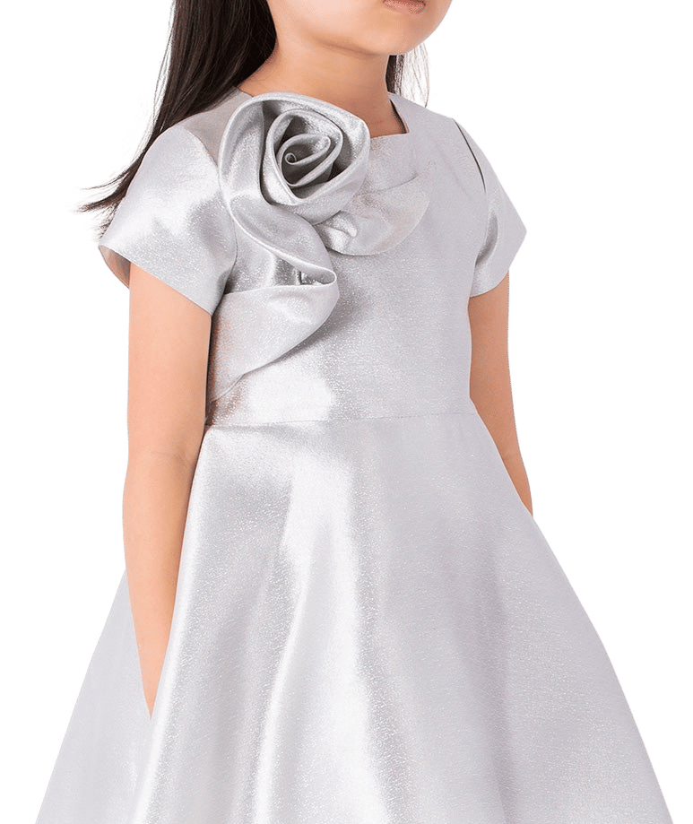 3D Appliqué Silver Girls Dress made by Mama Luma