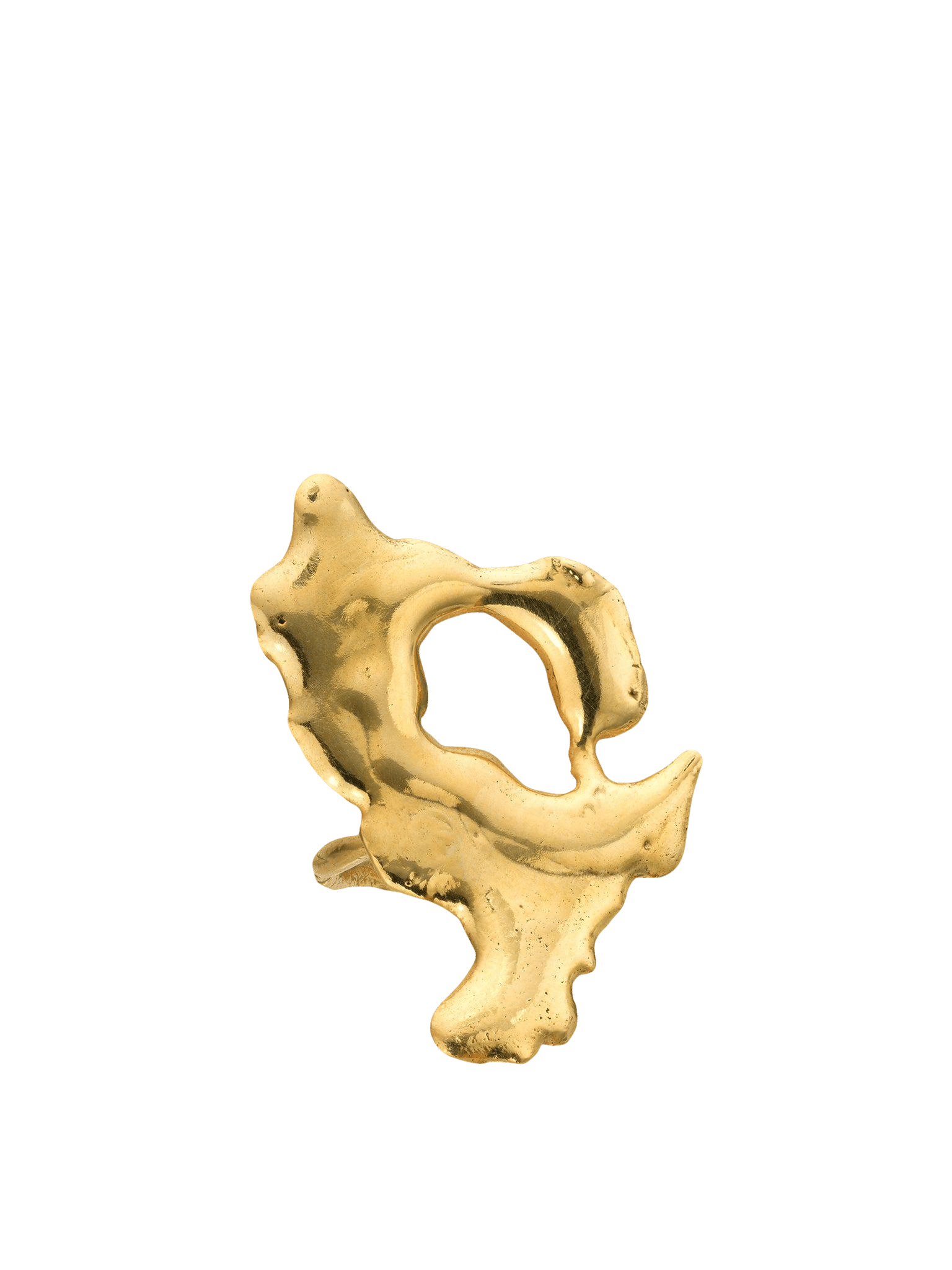 Euphoria Universe Ring Gold in Gold made by Eva Remenyi