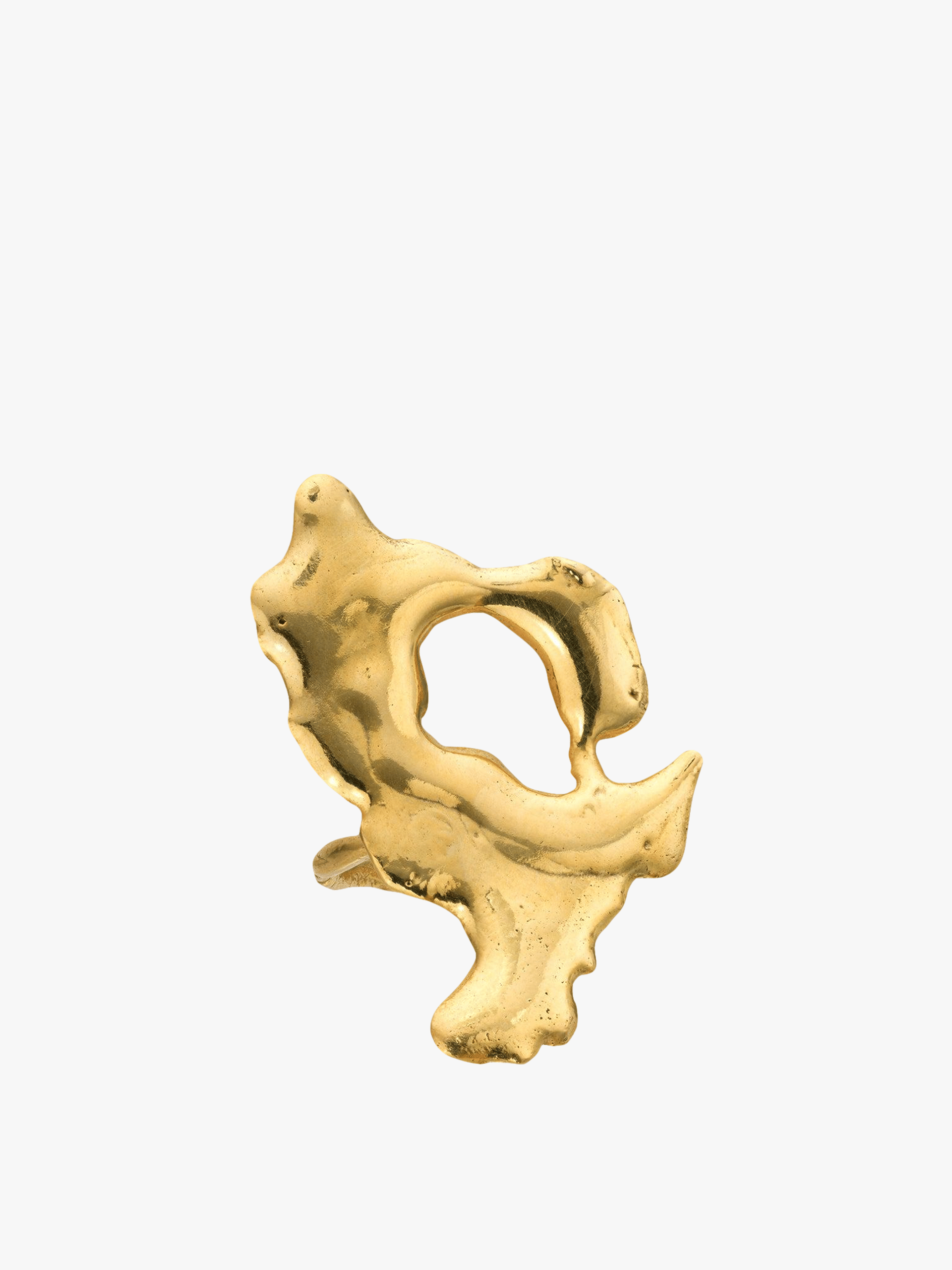 Euphoria Universe Ring Gold in Gold made by Eva Remenyi