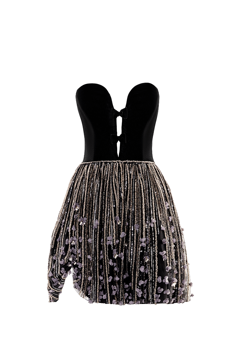 Embroidered Noir Velvet Dress made by Monika Dimova