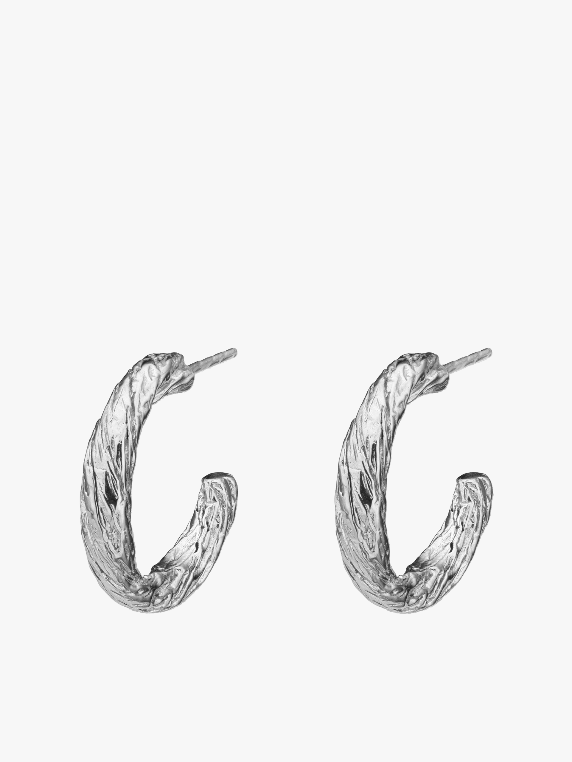 Archaic Small Hoop Earrings Silver made by Eva Remenyi