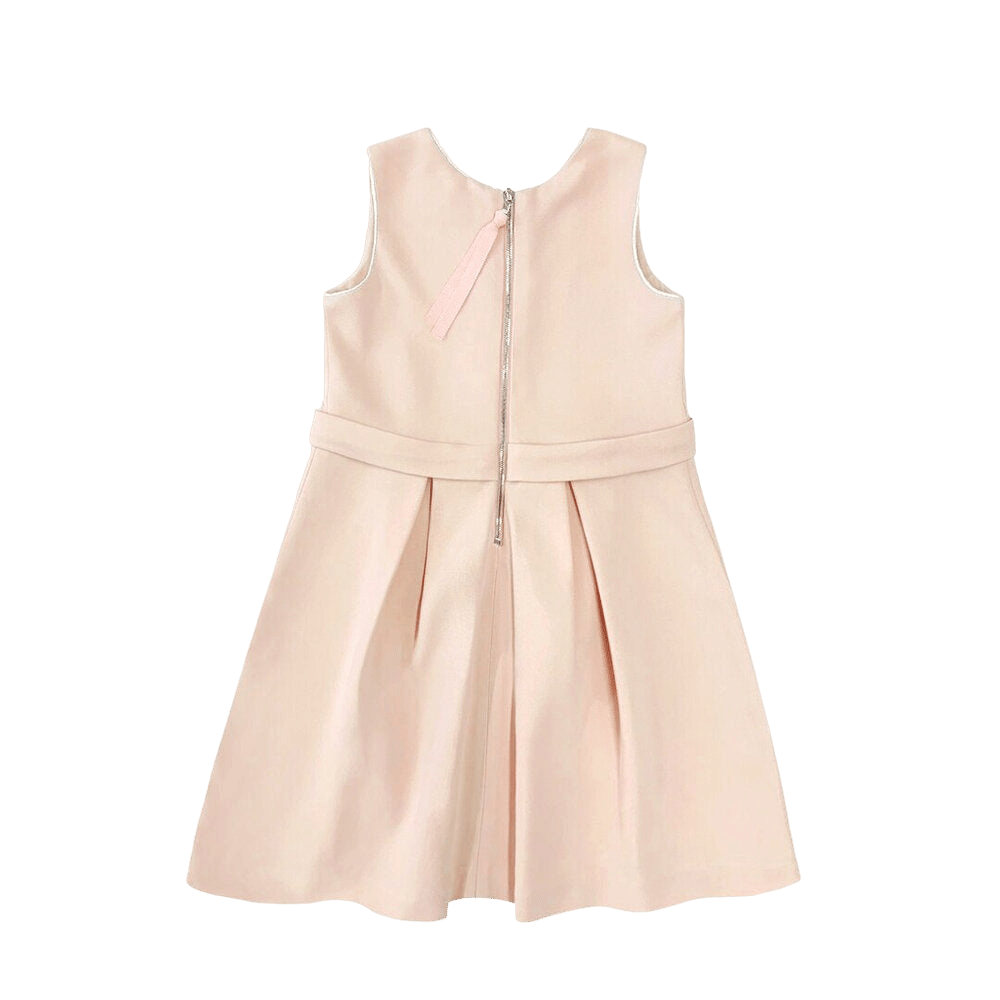 Salma Snap Dress - Blush made by SEMSEM