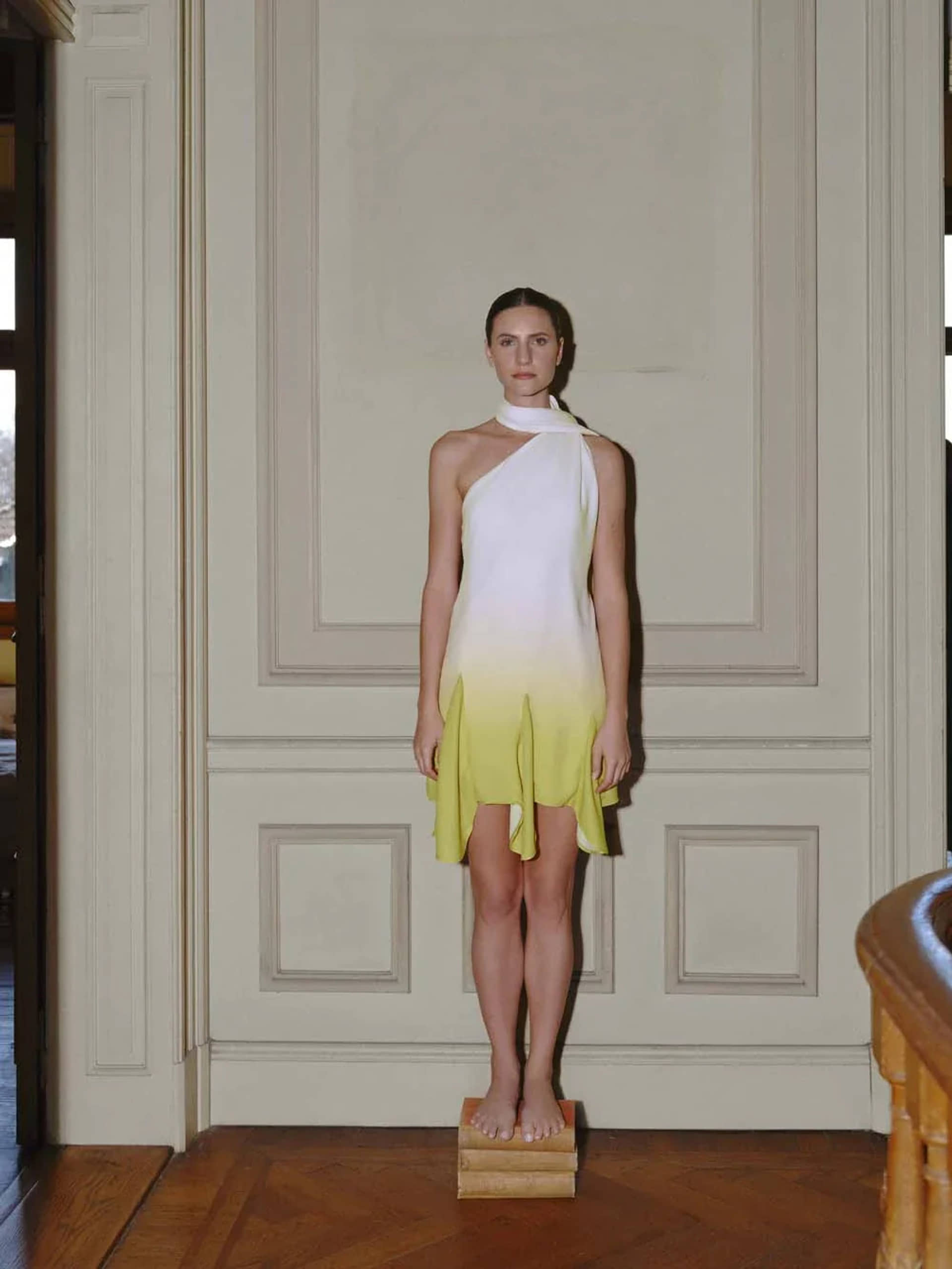 Ari Mini Dress made by BAOBAB