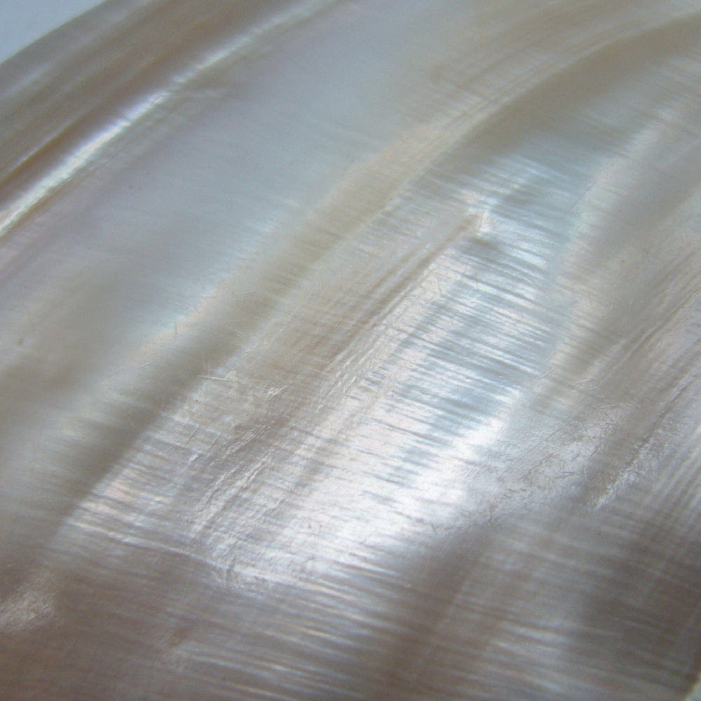 Adara Pearl Earrings made by Lavani Jewels