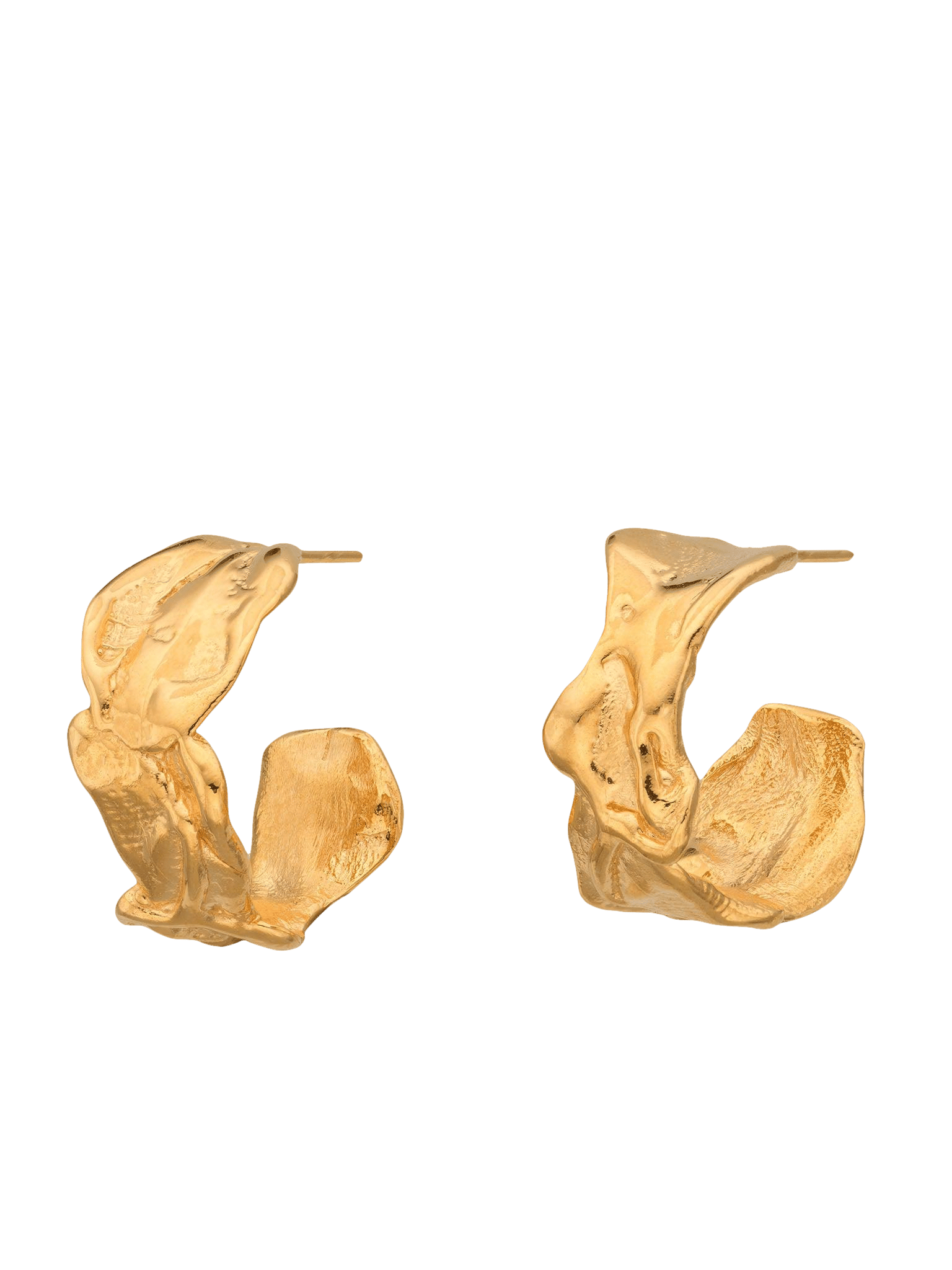 Vacation Hoop Earrings Gold in Gold made by Eva Remenyi