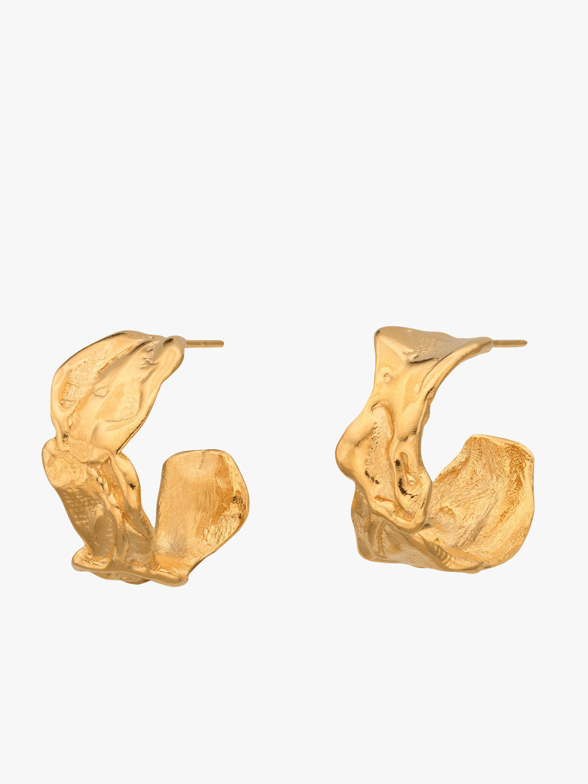 Vacation Hoop Earrings Gold in Gold made by Eva Remenyi