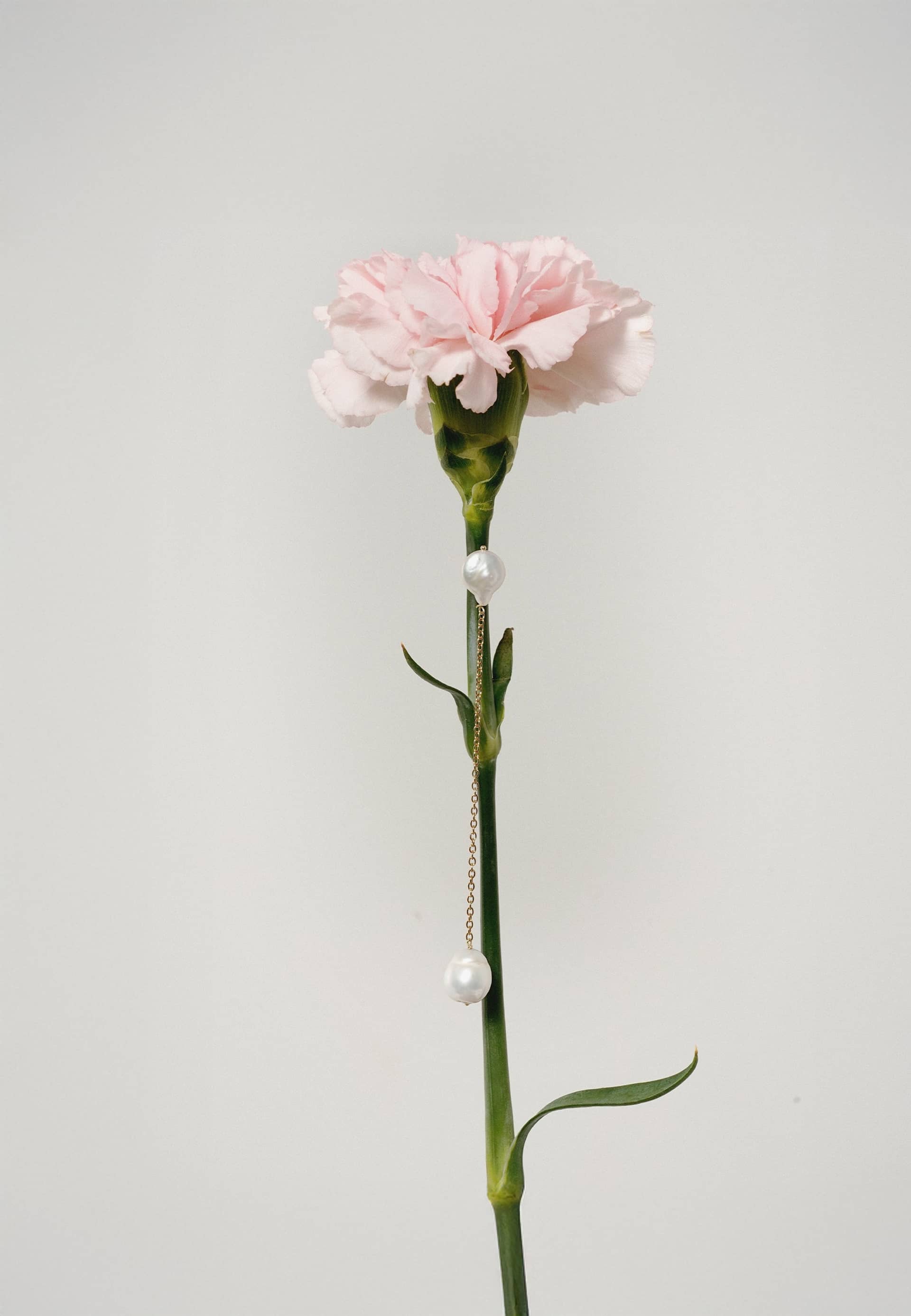 Pendientes Dara Perlas made by Lavani Jewels