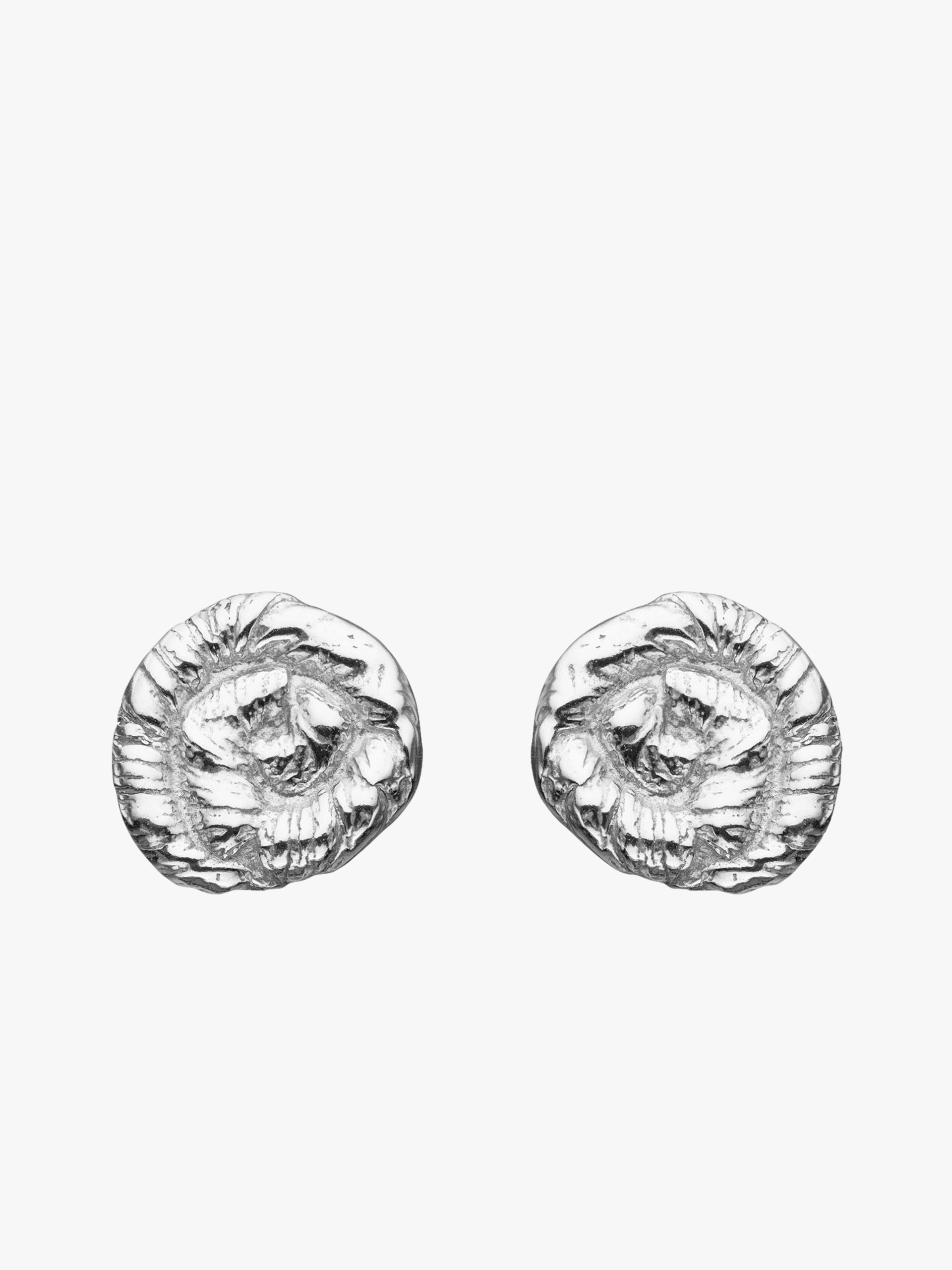 Nautilus Earrings Silver in Silver made by Eva Remenyi