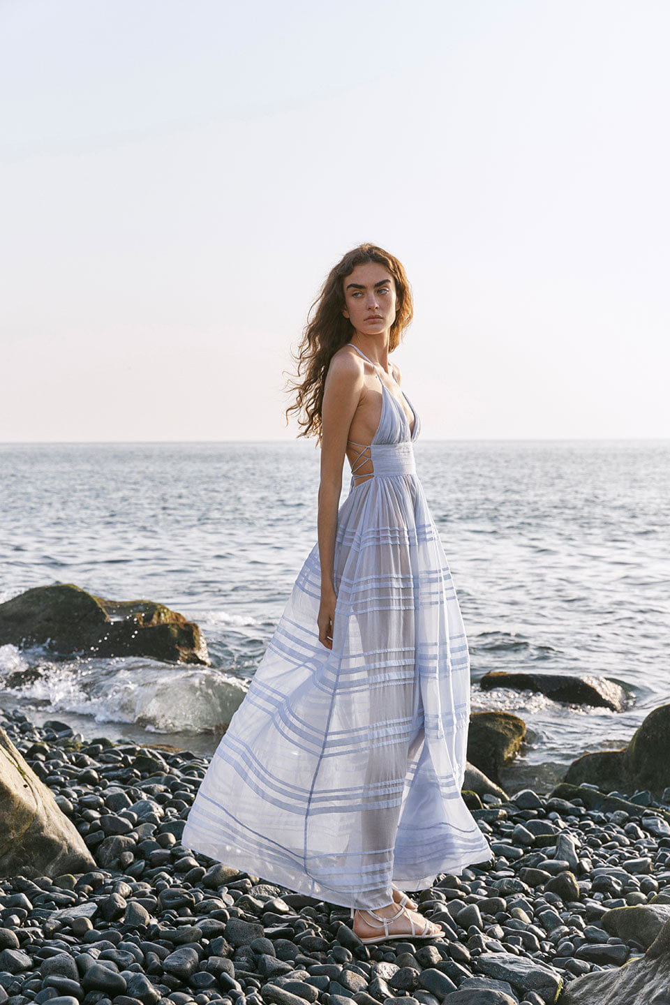 Delphinium made by YVON