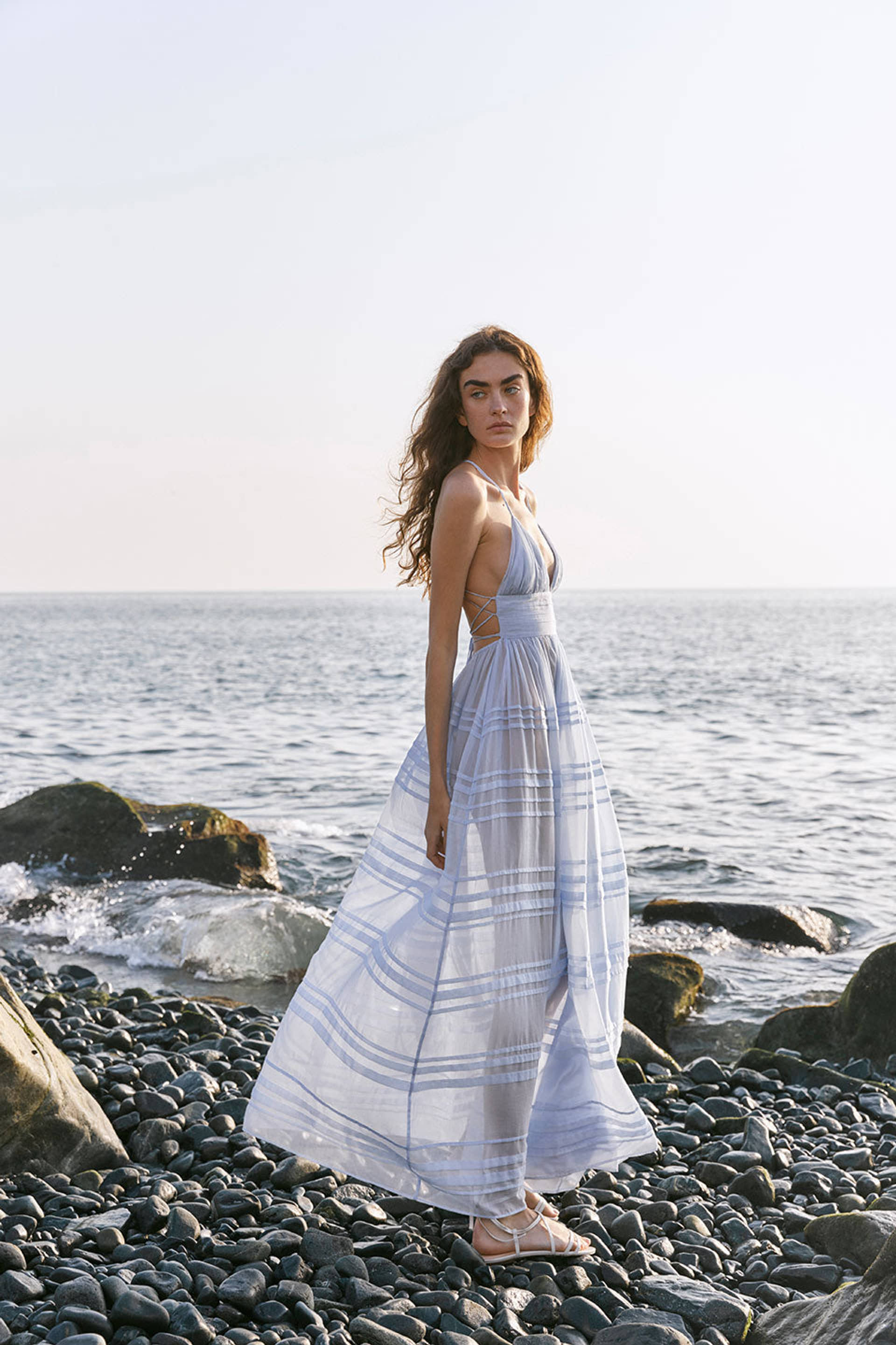 Delphinium made by YVON