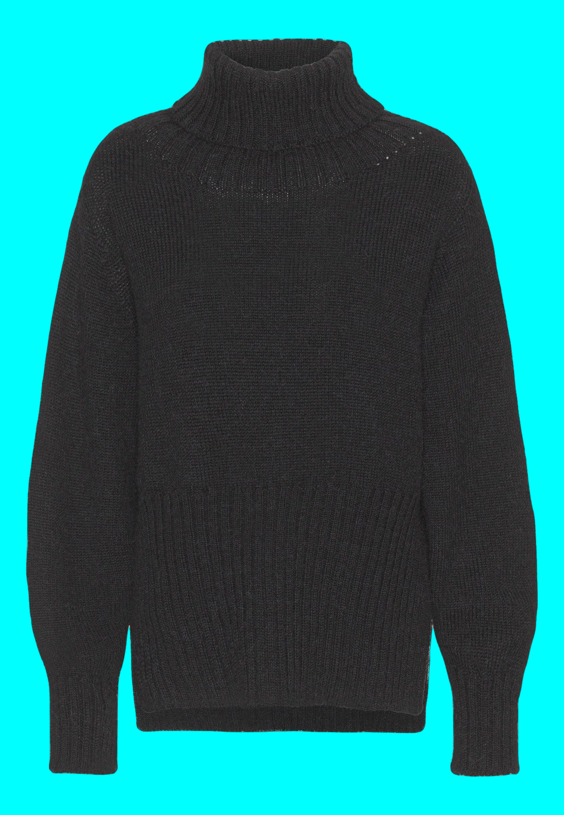 Jojo Knit Turtleneck - Black made by HERSKIND