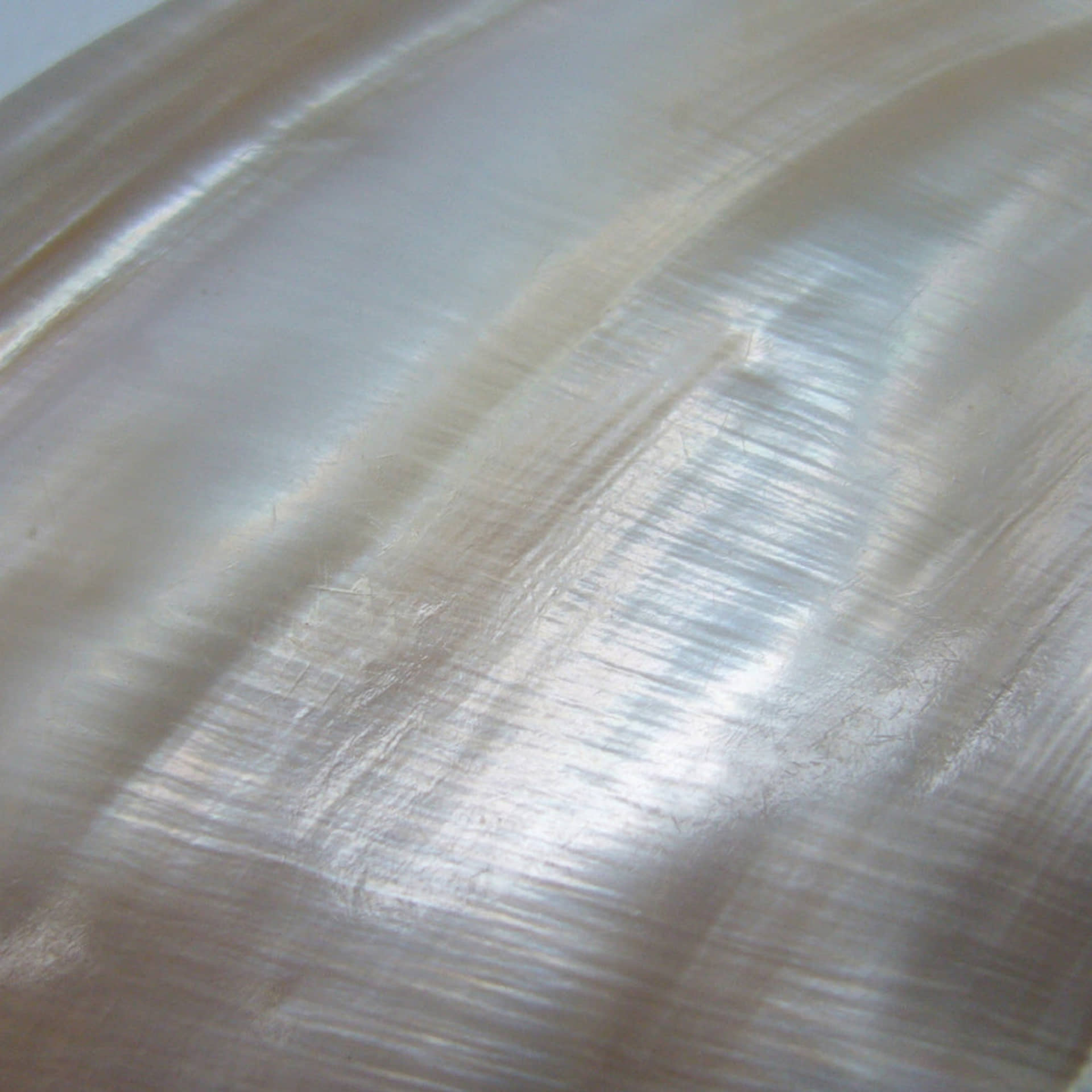 Aros Sadie Pearl made by Lavani Jewels