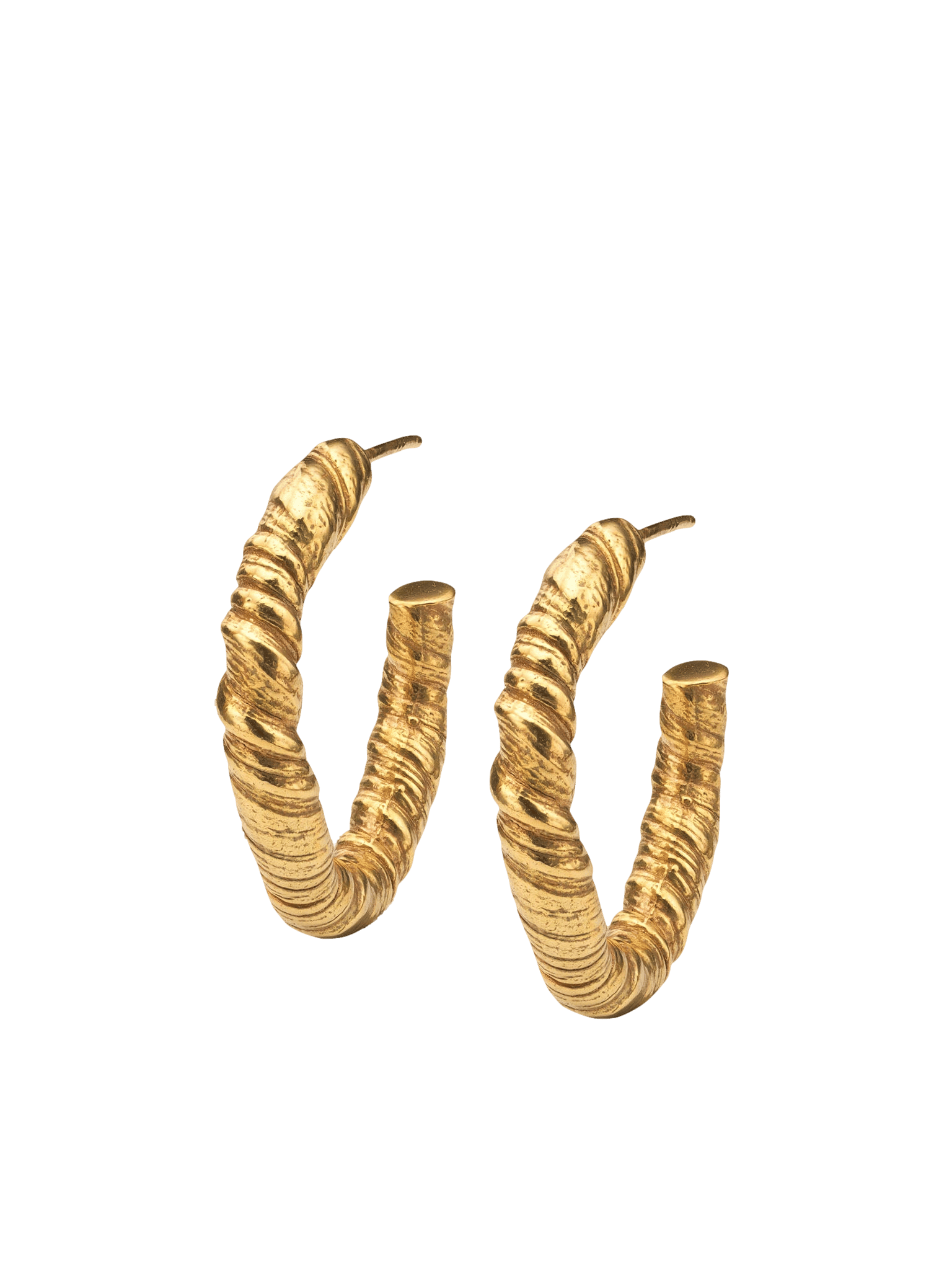 Nautilus Hoop Earrings Gold in Gold made by Eva Remenyi