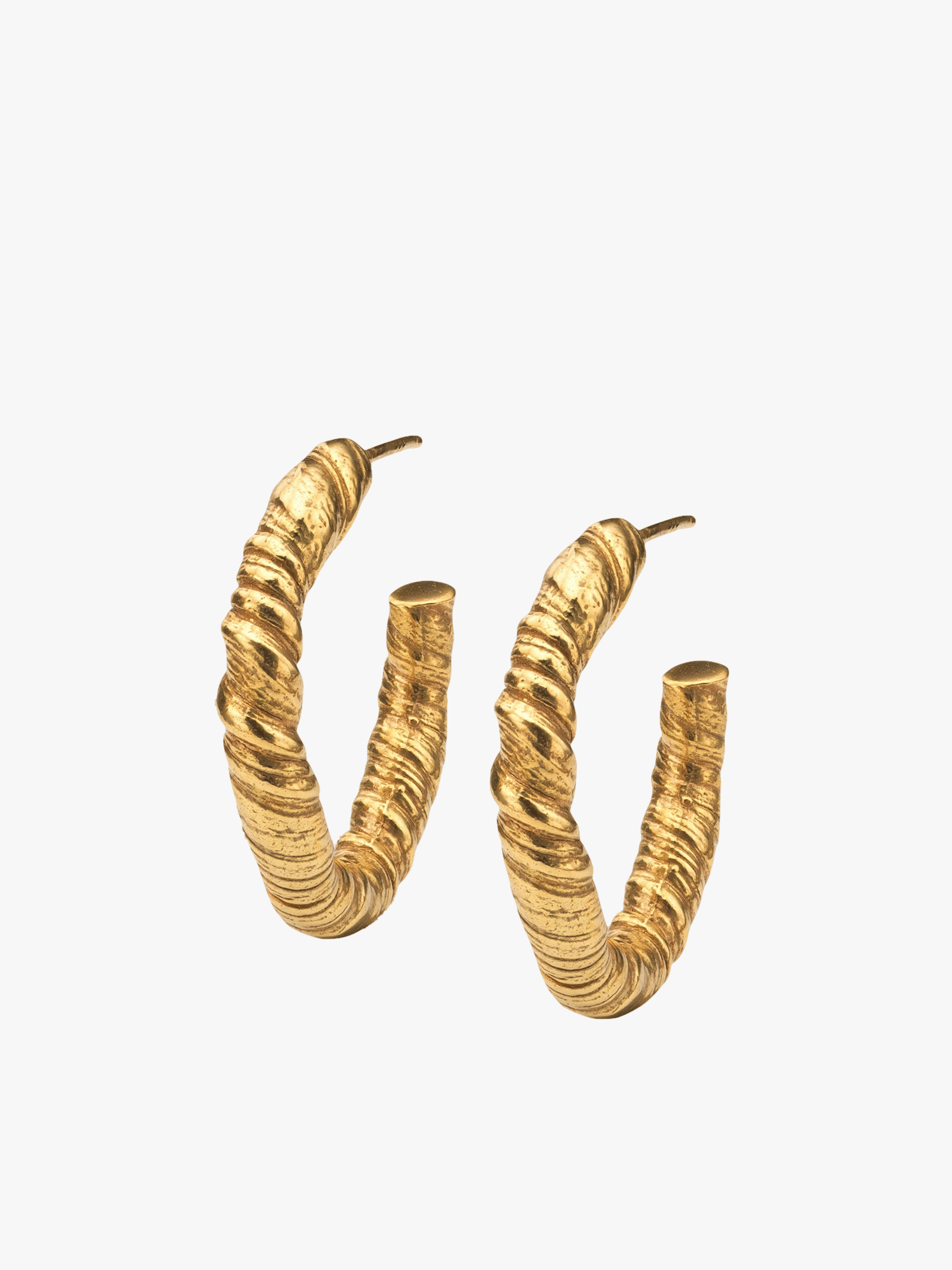 Nautilus Hoop Earrings Gold in Gold made by Eva Remenyi