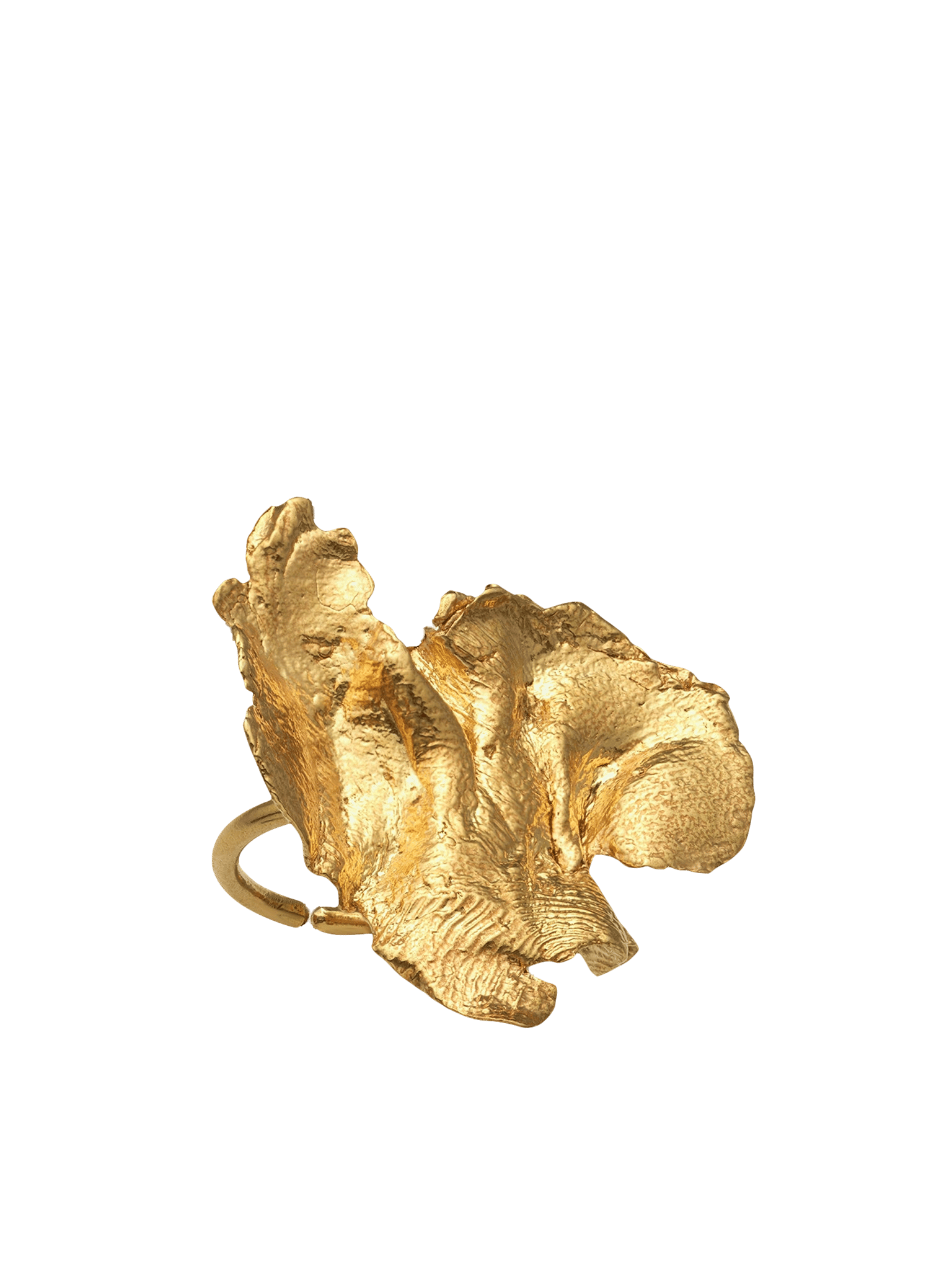 Artemis Ring Gold in Gold made by Eva Remenyi