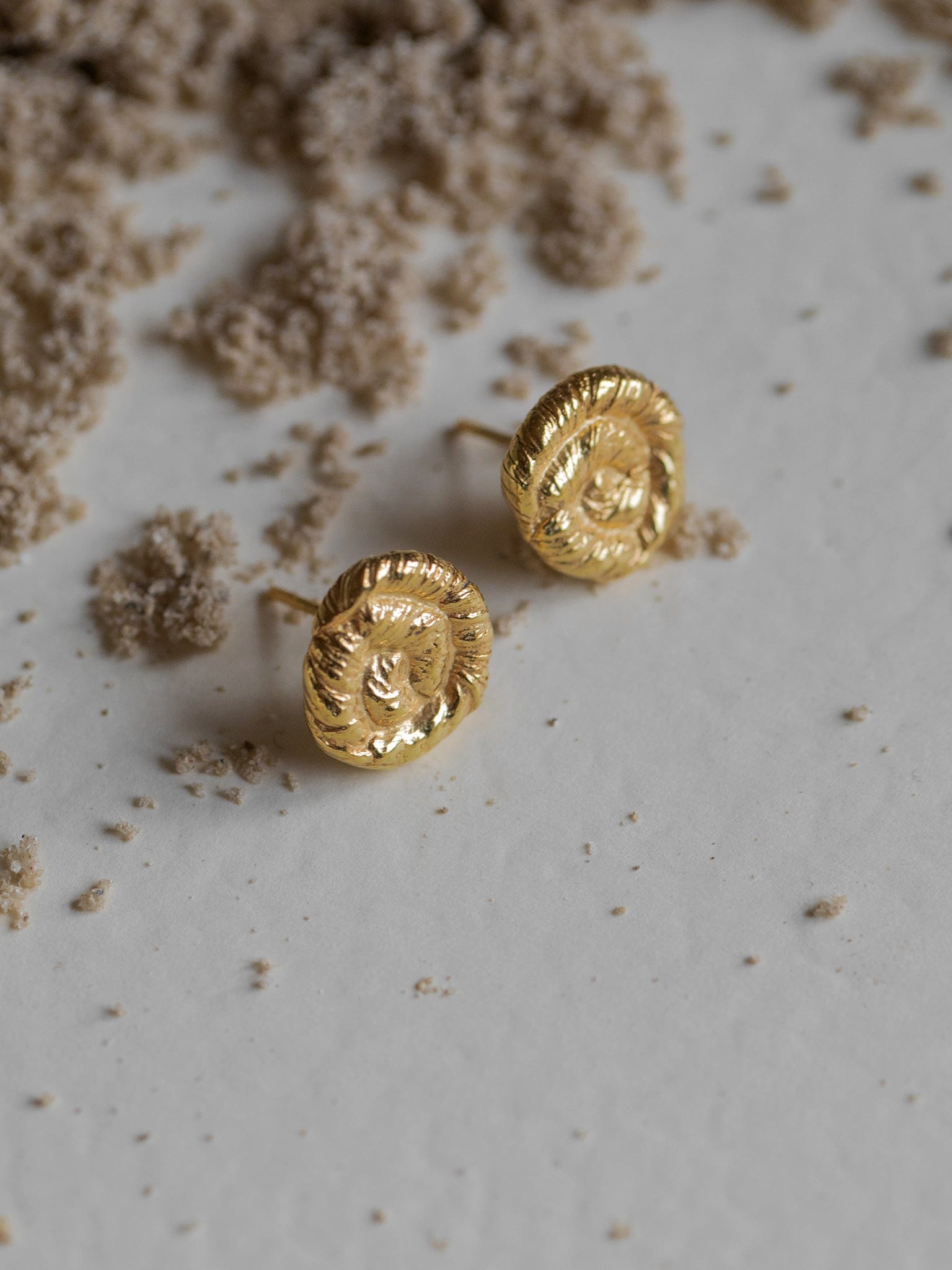 Nautilus Earrings Gold in Gold made by Eva Remenyi