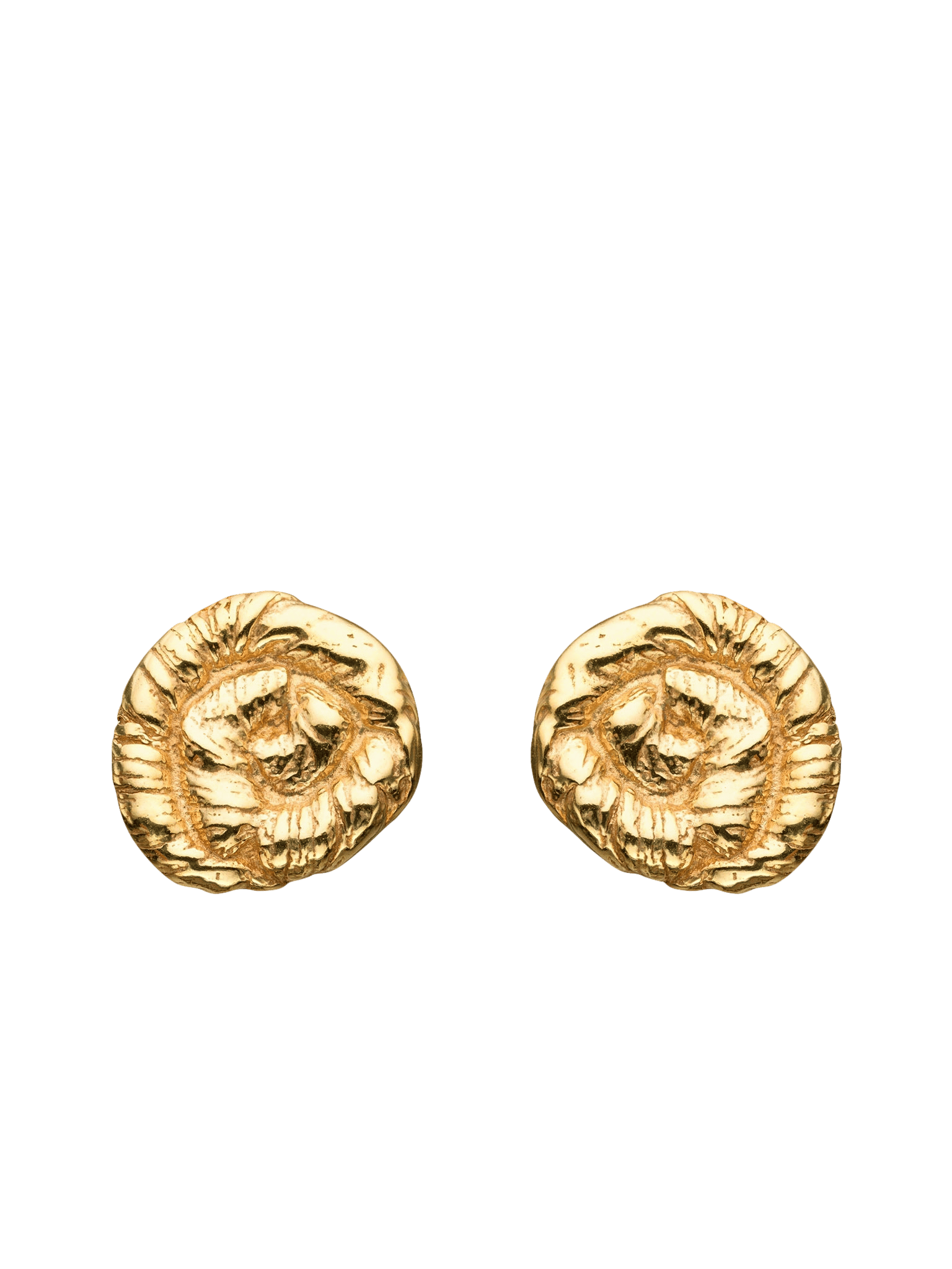 Nautilus Earrings Gold in Gold made by Eva Remenyi