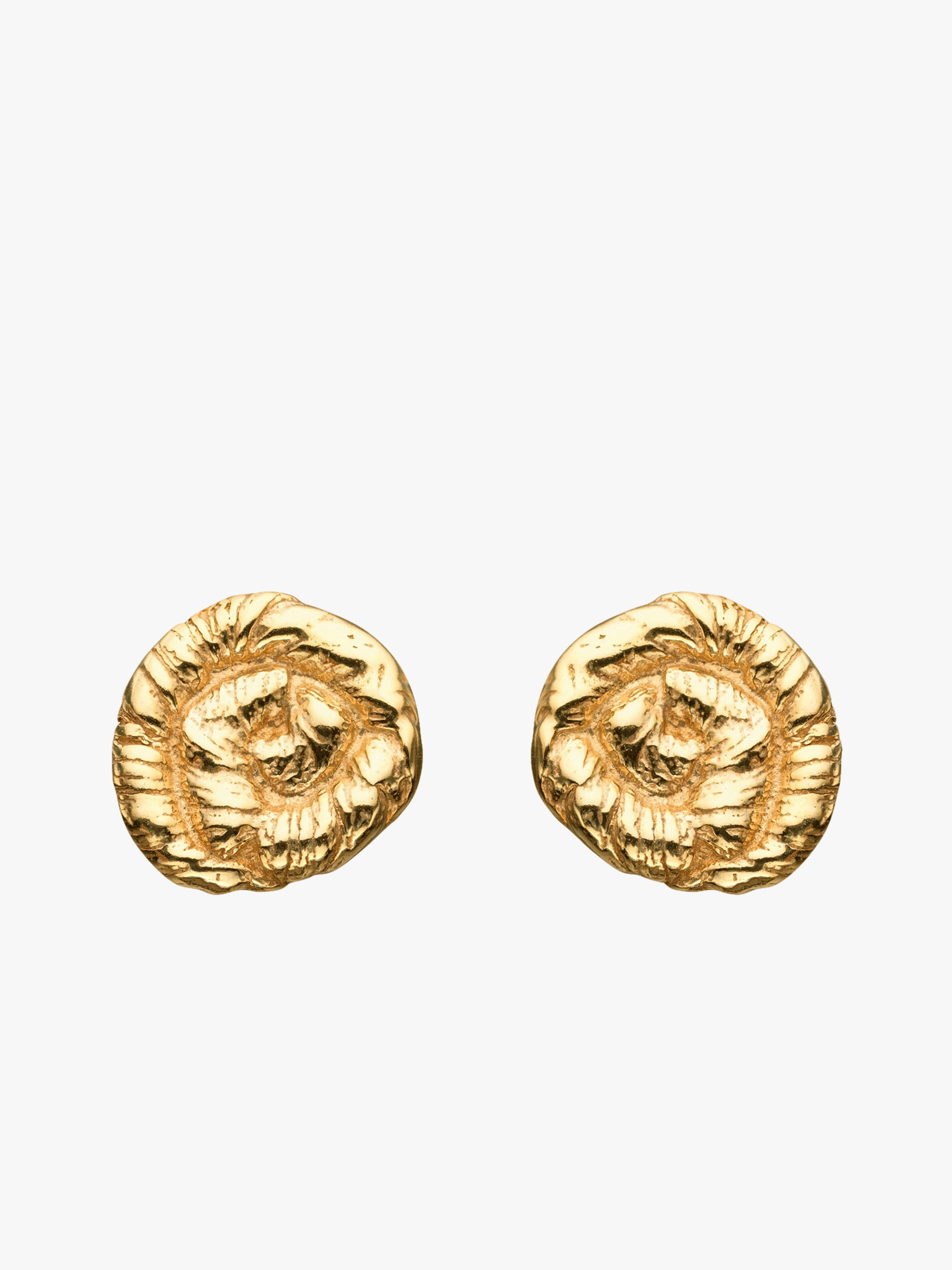Nautilus Earrings Gold in Gold made by Eva Remenyi