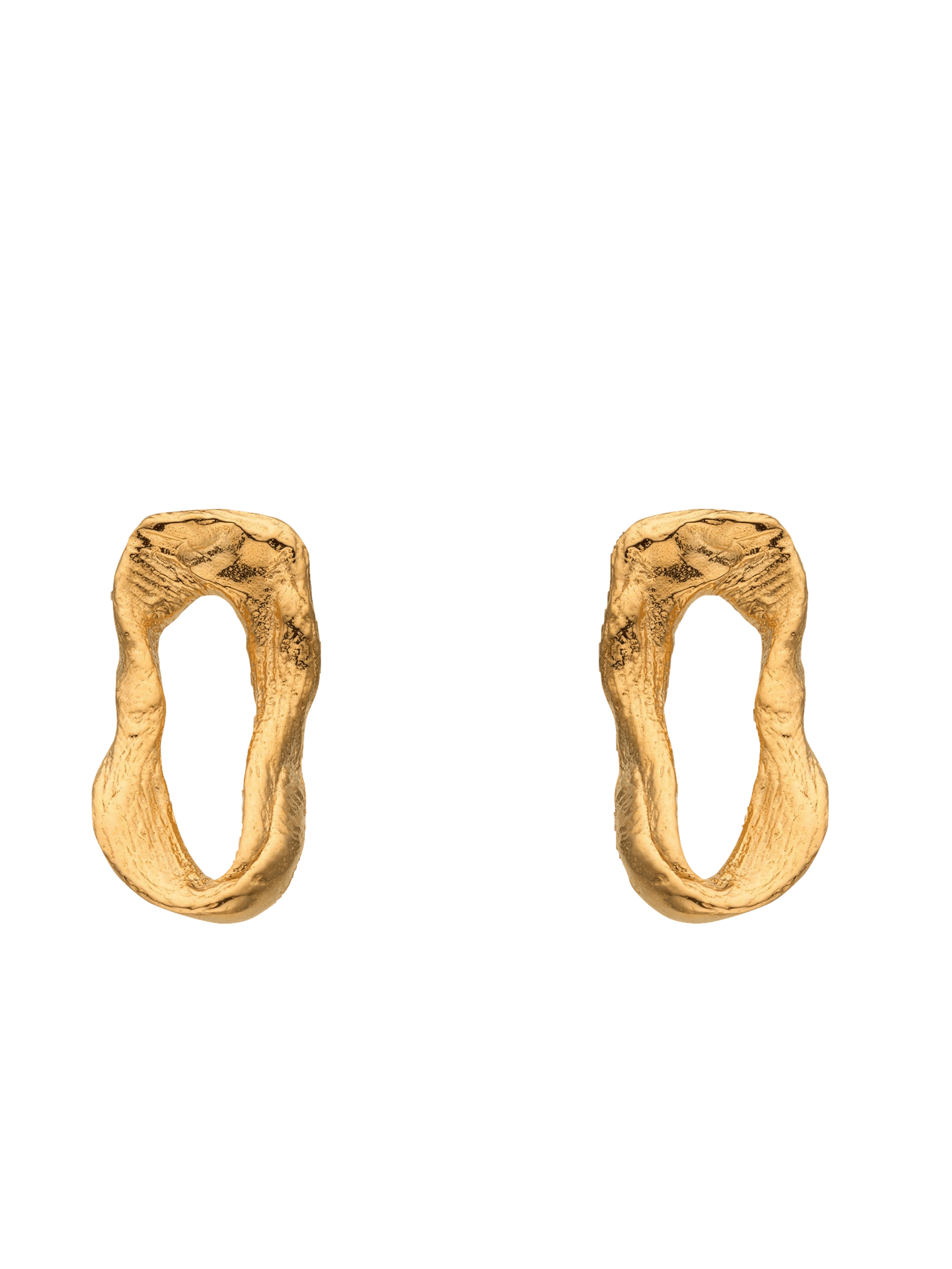 Vacation Small Chain Earrings Gold in Gold made by Eva Remenyi