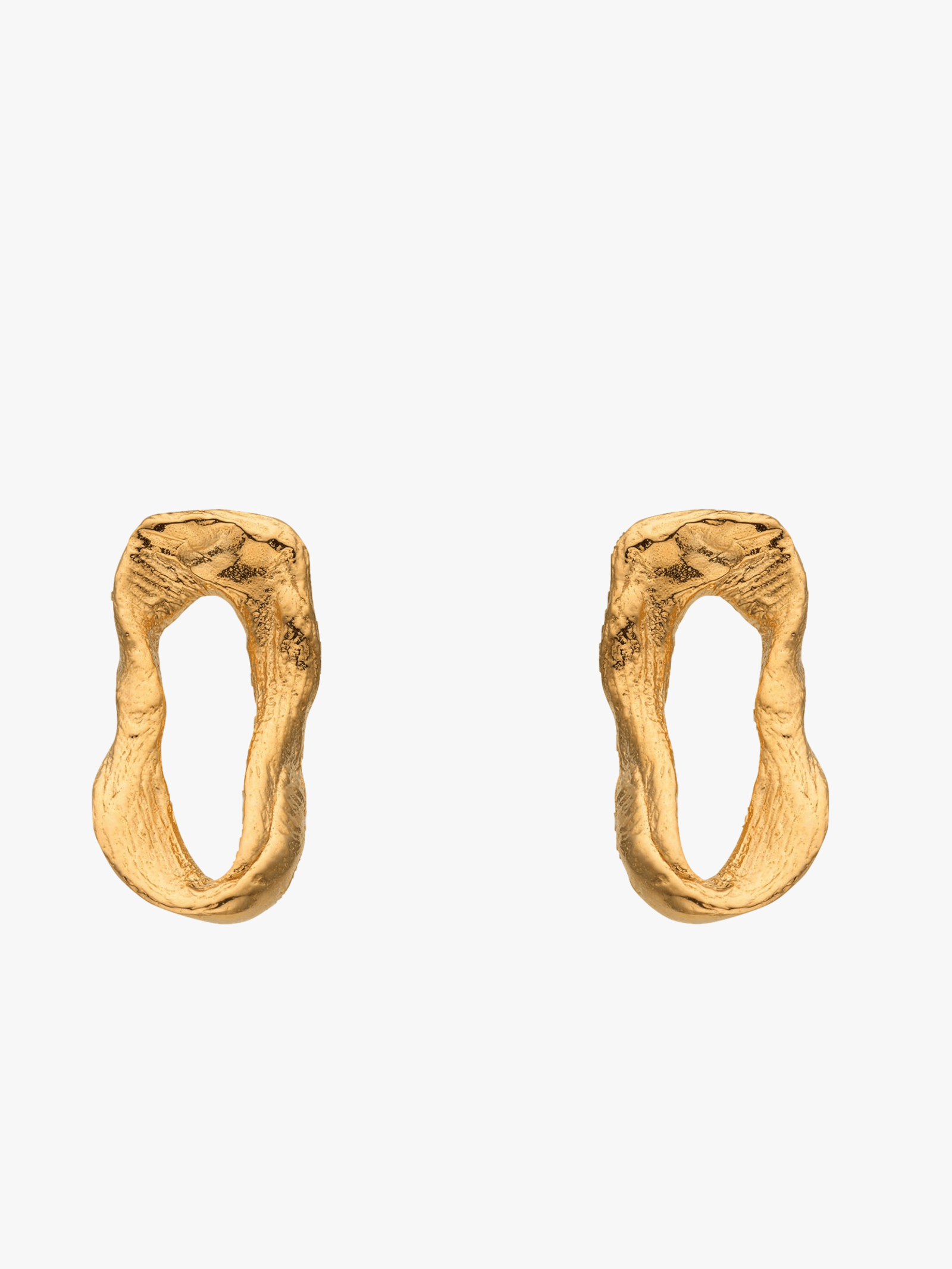 Vacation Small Chain Earrings Gold in Gold made by Eva Remenyi