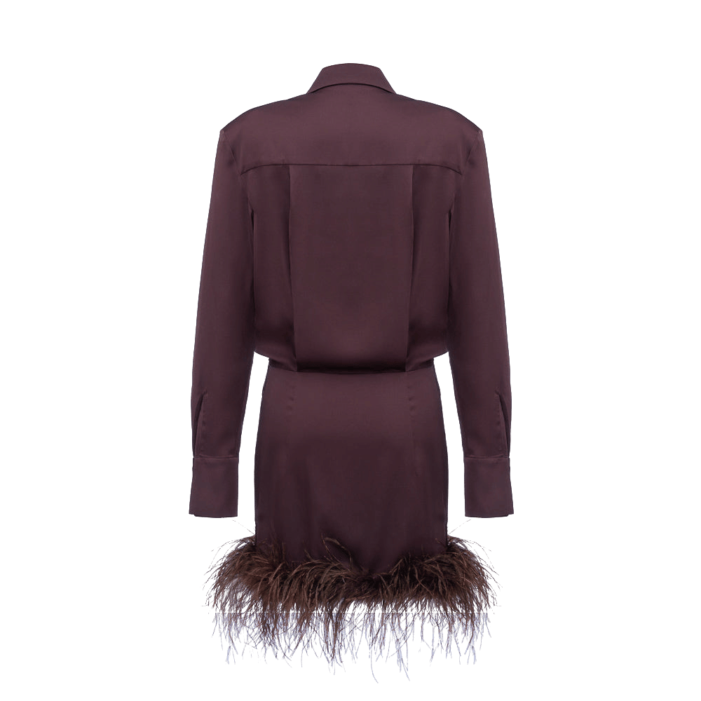 SILK DRESS With Boa made by Gasanova