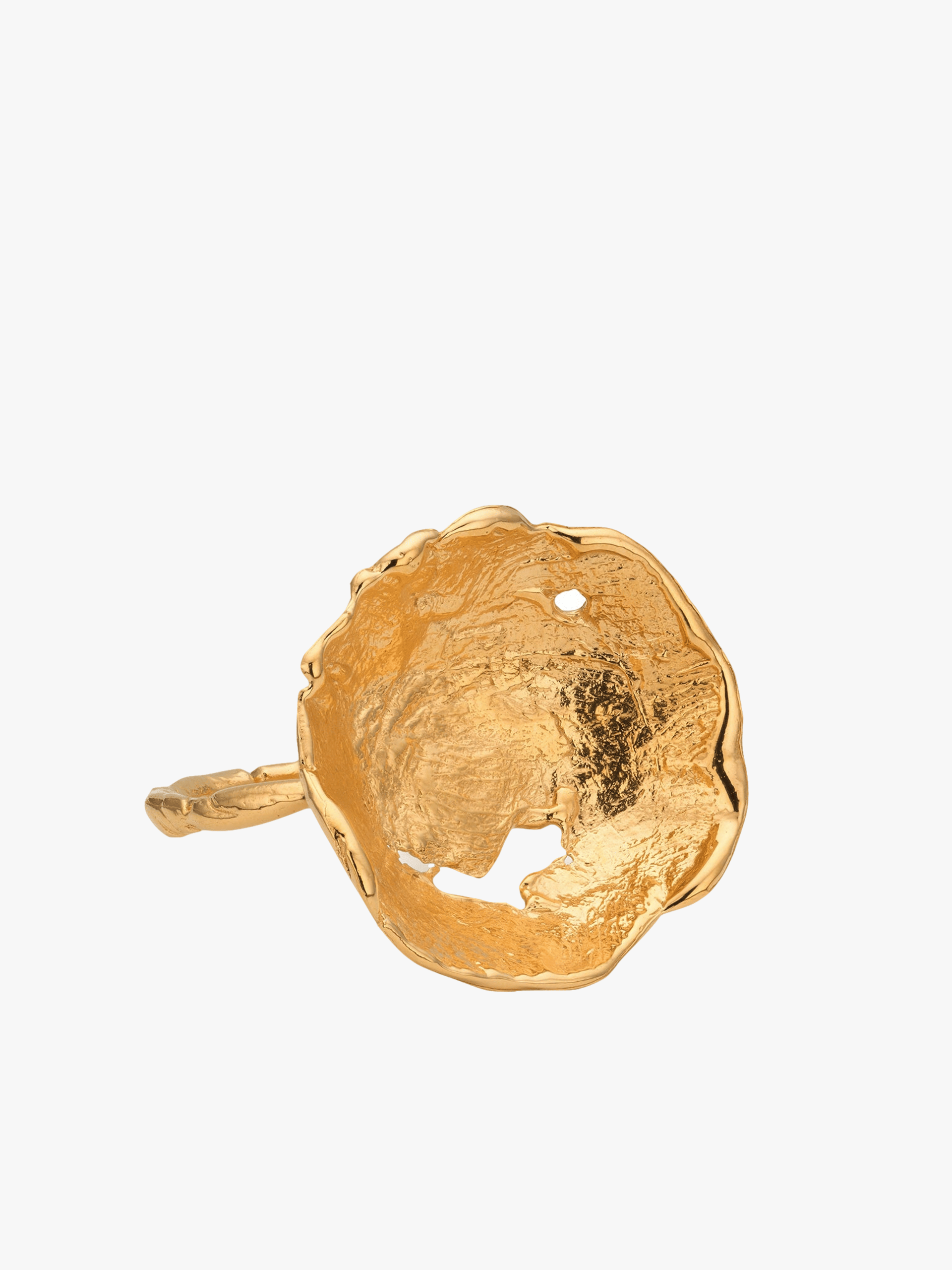 Vacation Sun Ring Gold in Gold made by Eva Remenyi