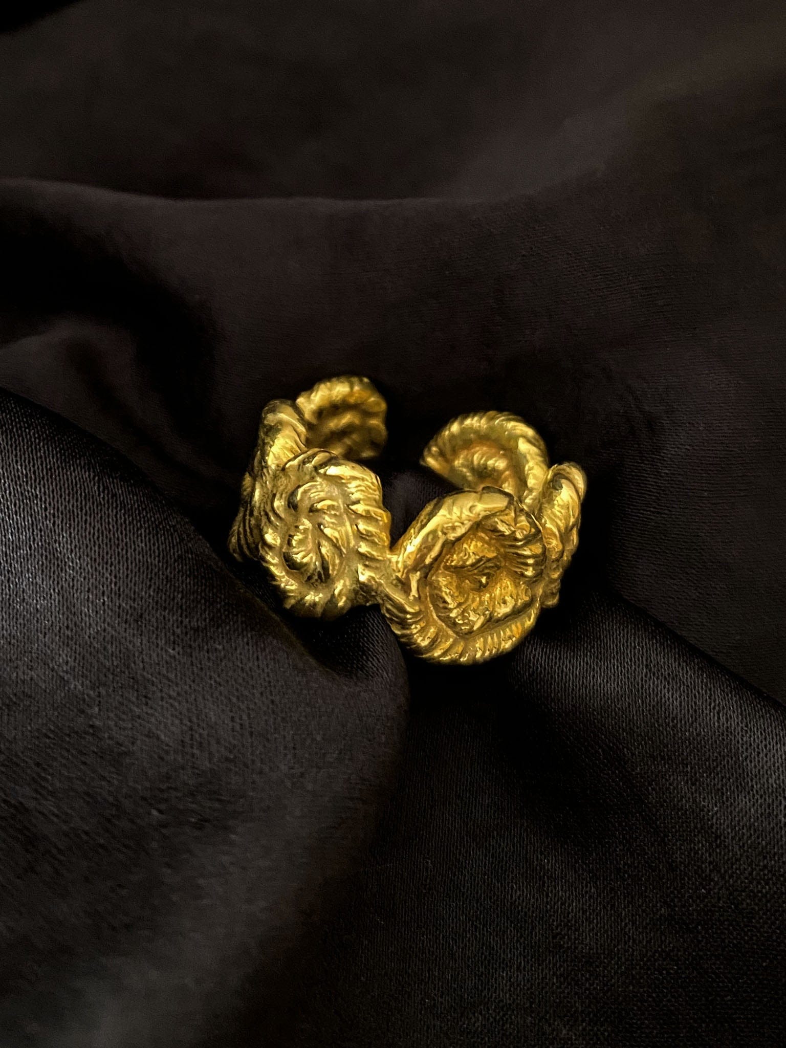 Nautilus Chunky Ring Gold in Gold made by Eva Remenyi