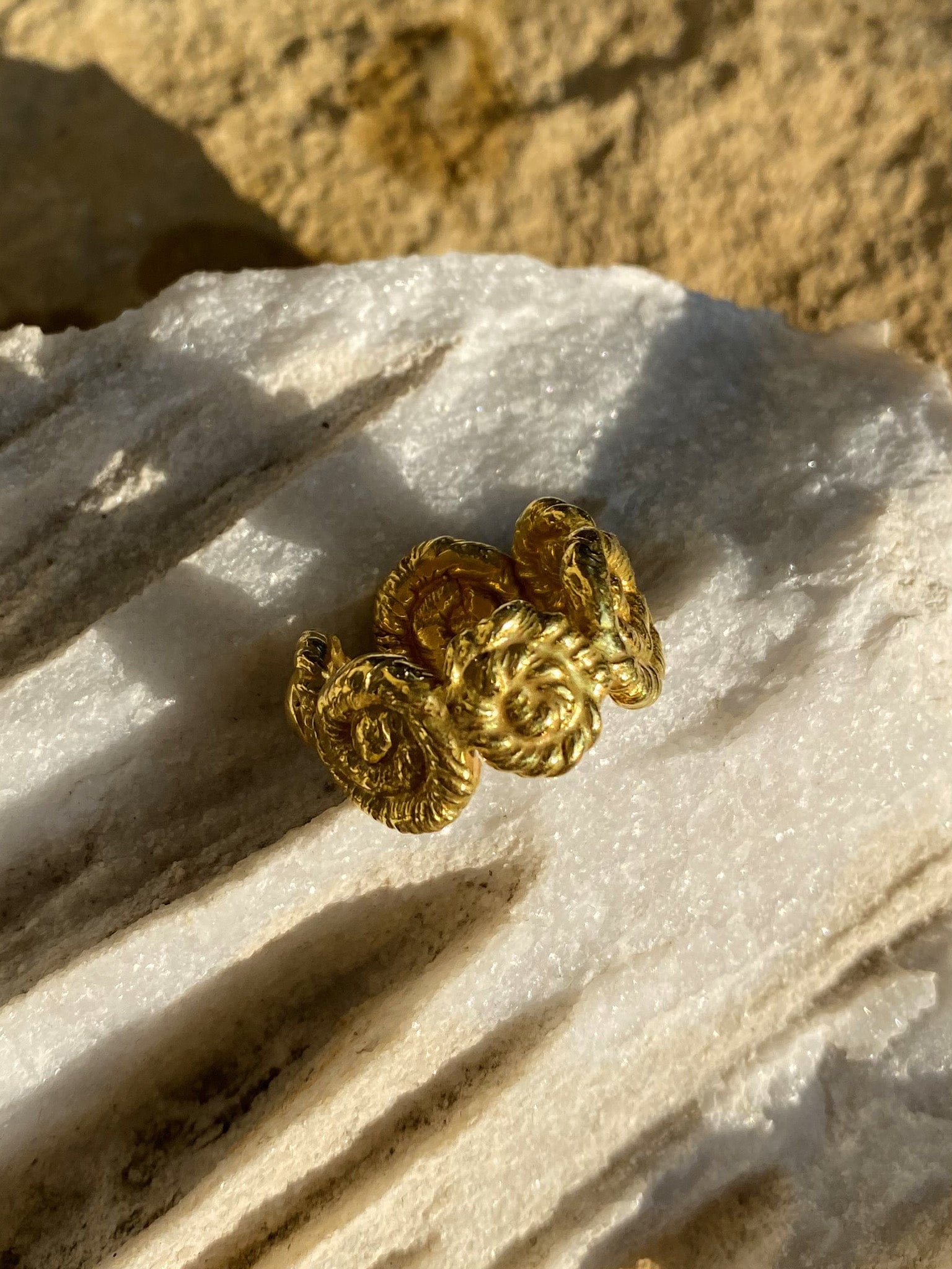 Nautilus Chunky Ring Gold in Gold made by Eva Remenyi