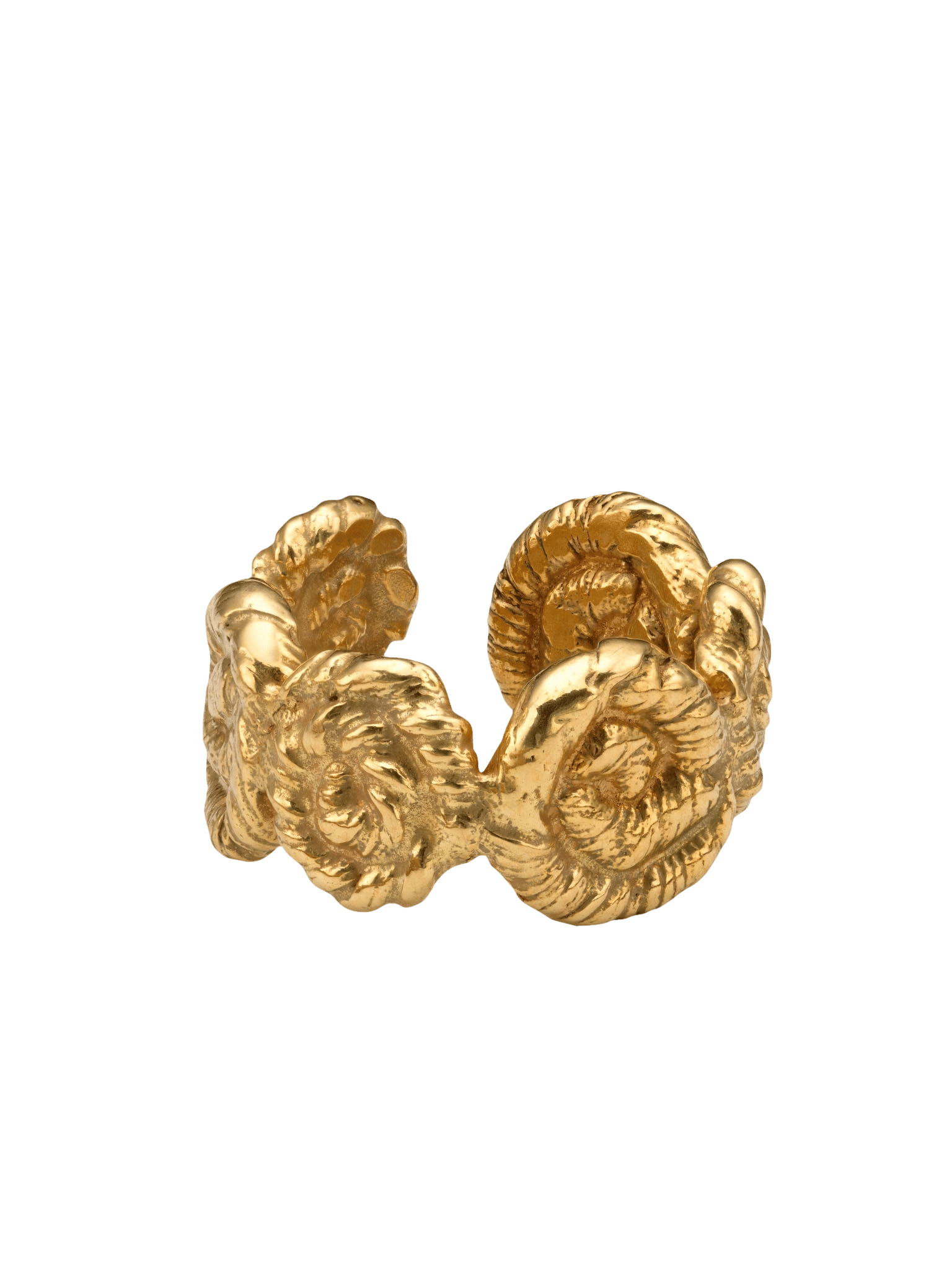 Nautilus Chunky Ring Gold in Gold made by Eva Remenyi