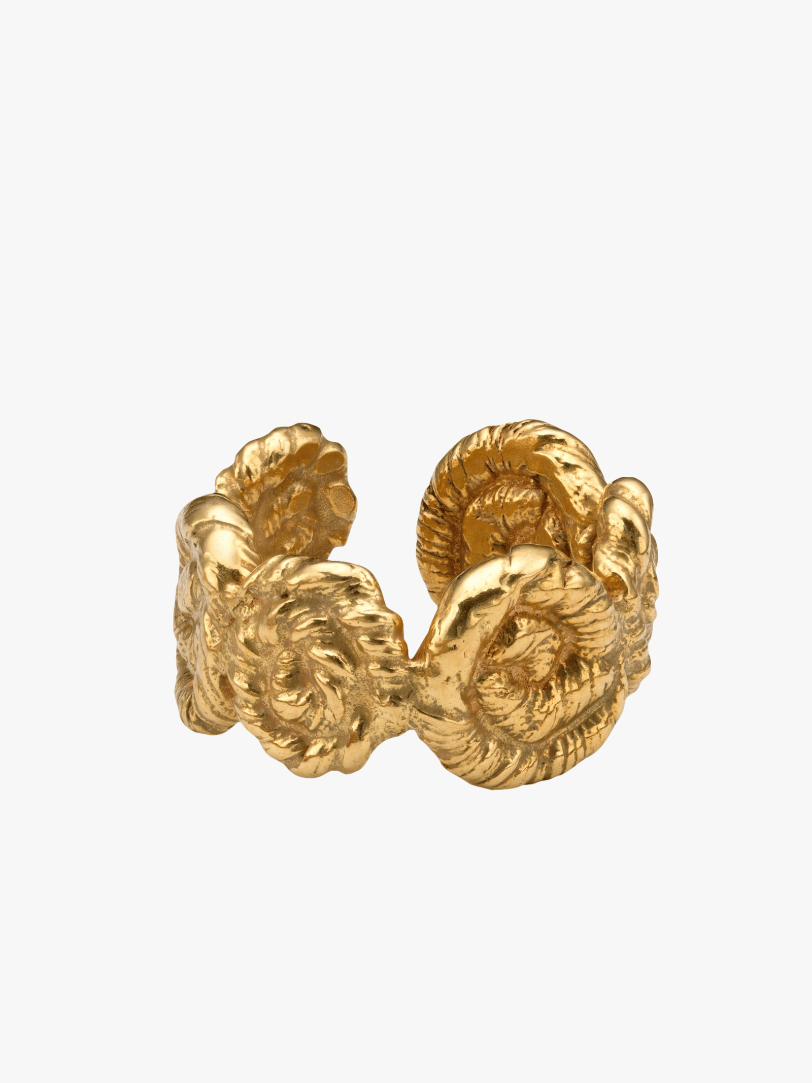 Nautilus Chunky Ring Gold in Gold made by Eva Remenyi