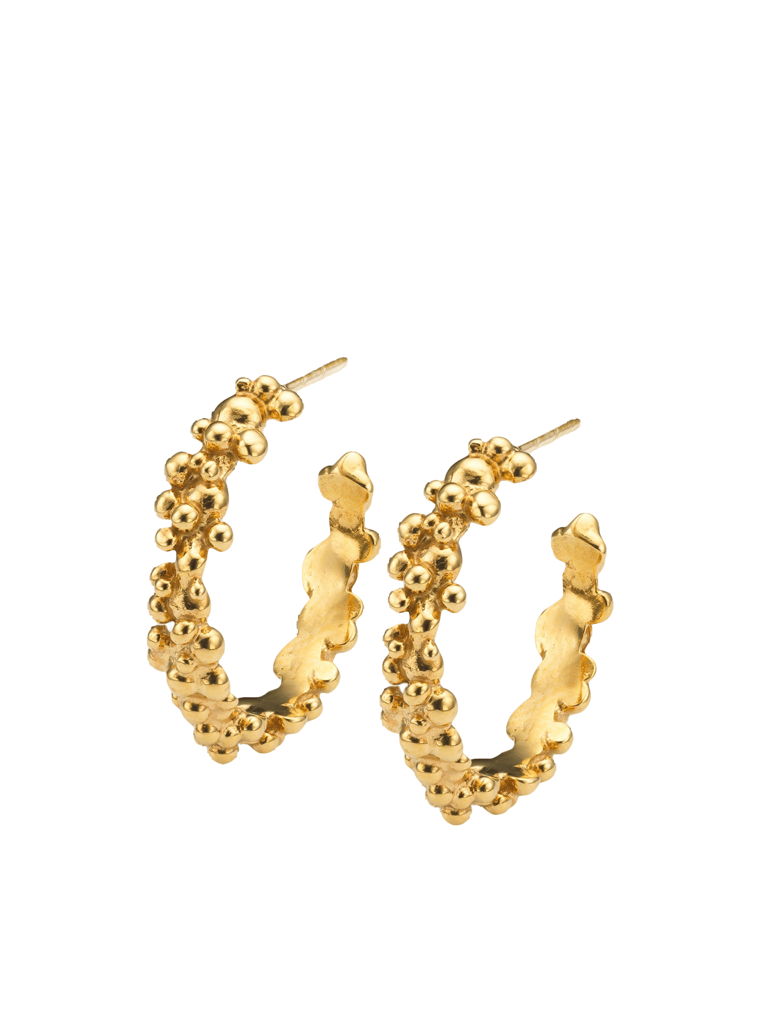 Céleste Deux Hoop Earrings Gold in Gold made by Eva Remenyi