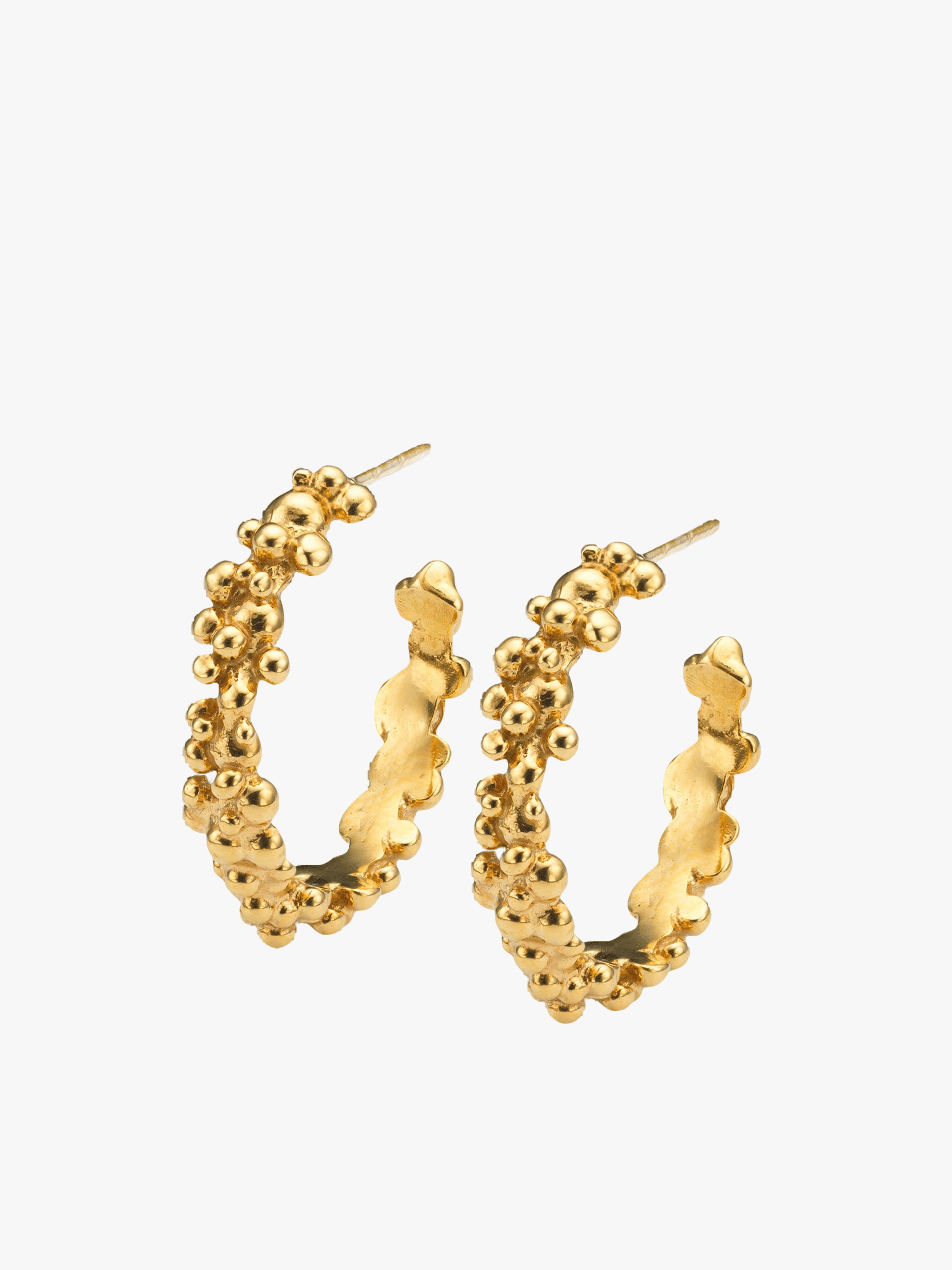 Céleste Deux Hoop Earrings Gold in Gold made by Eva Remenyi