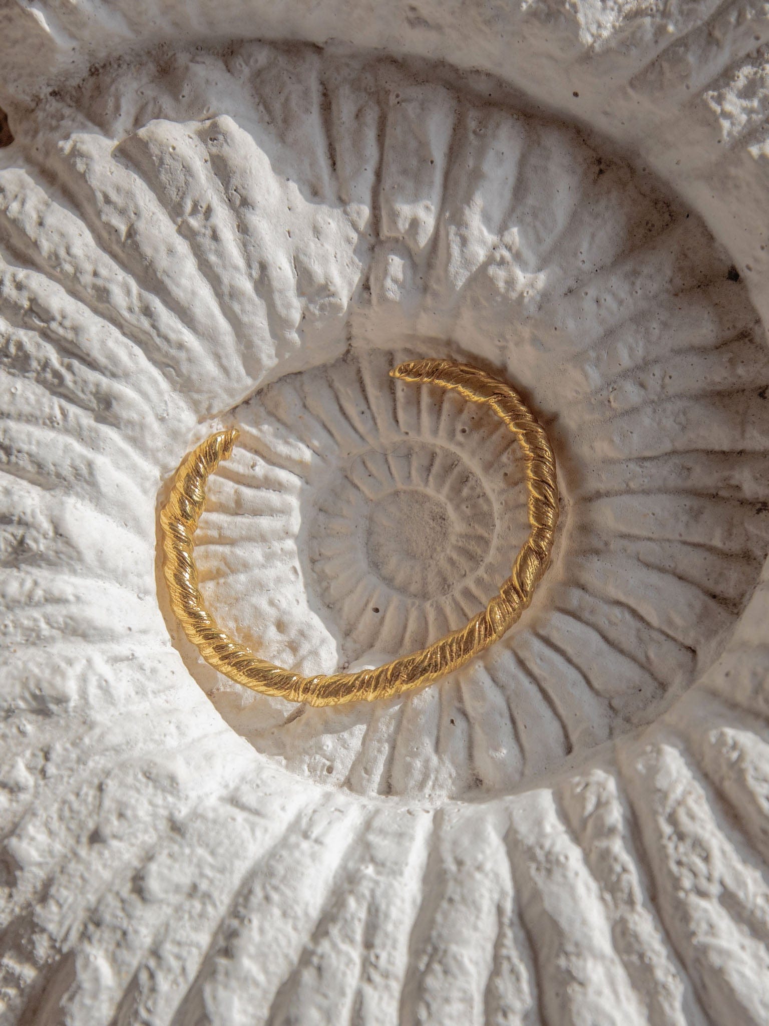 Nautilus Twisted Bracelet Gold in Gold made by Eva Remenyi