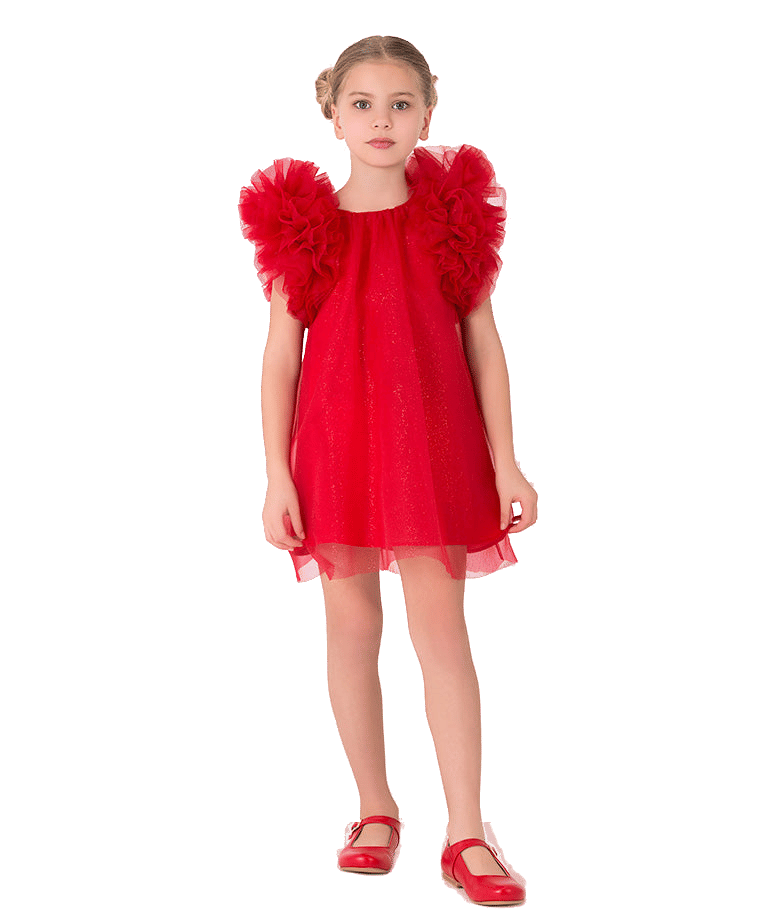 Shimmering Ruffles Dress made by Mama Luma