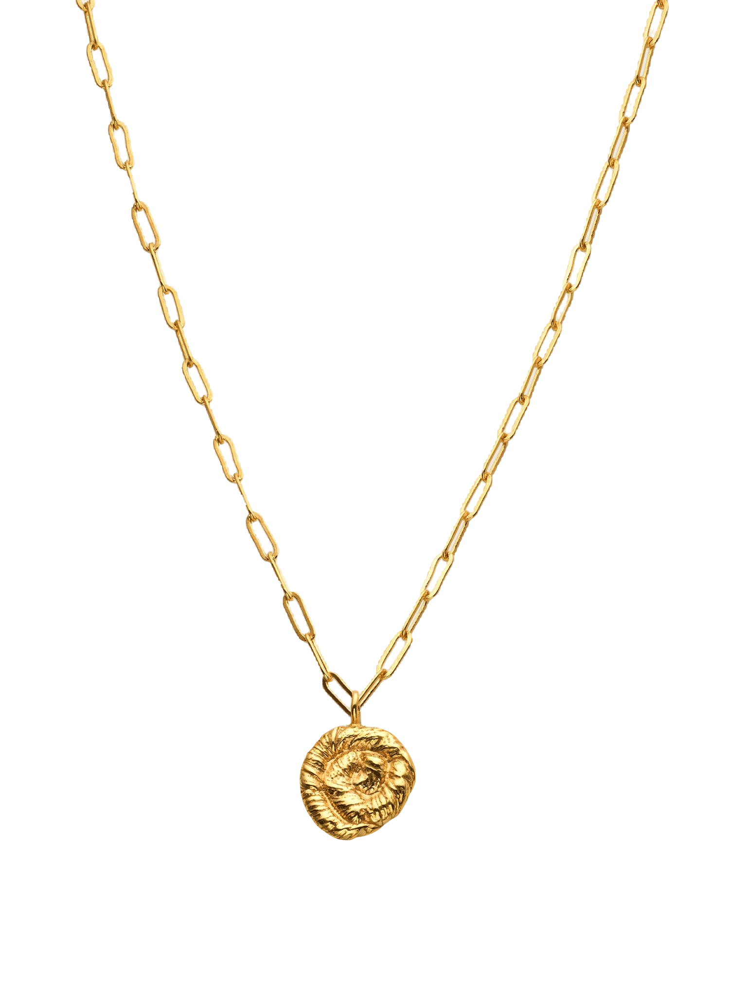 Nautilus Pendant Necklace Gold in Gold made by Eva Remenyi