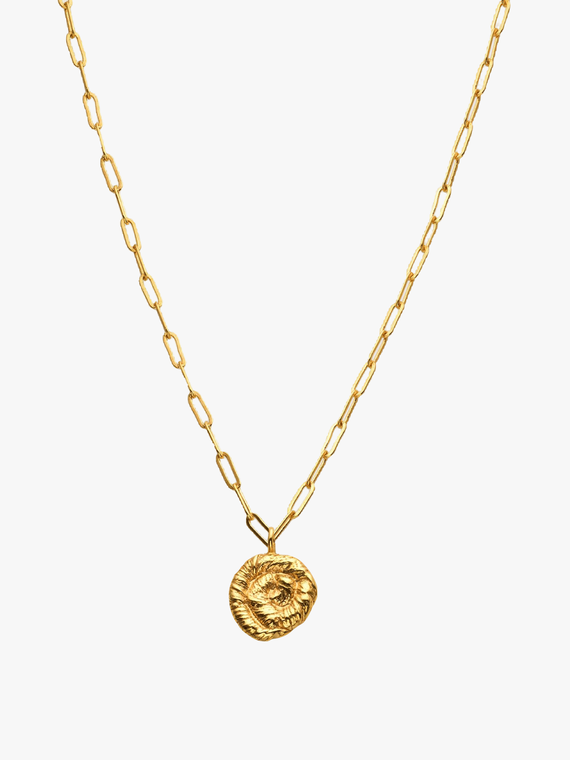 Nautilus Pendant Necklace Gold in Gold made by Eva Remenyi