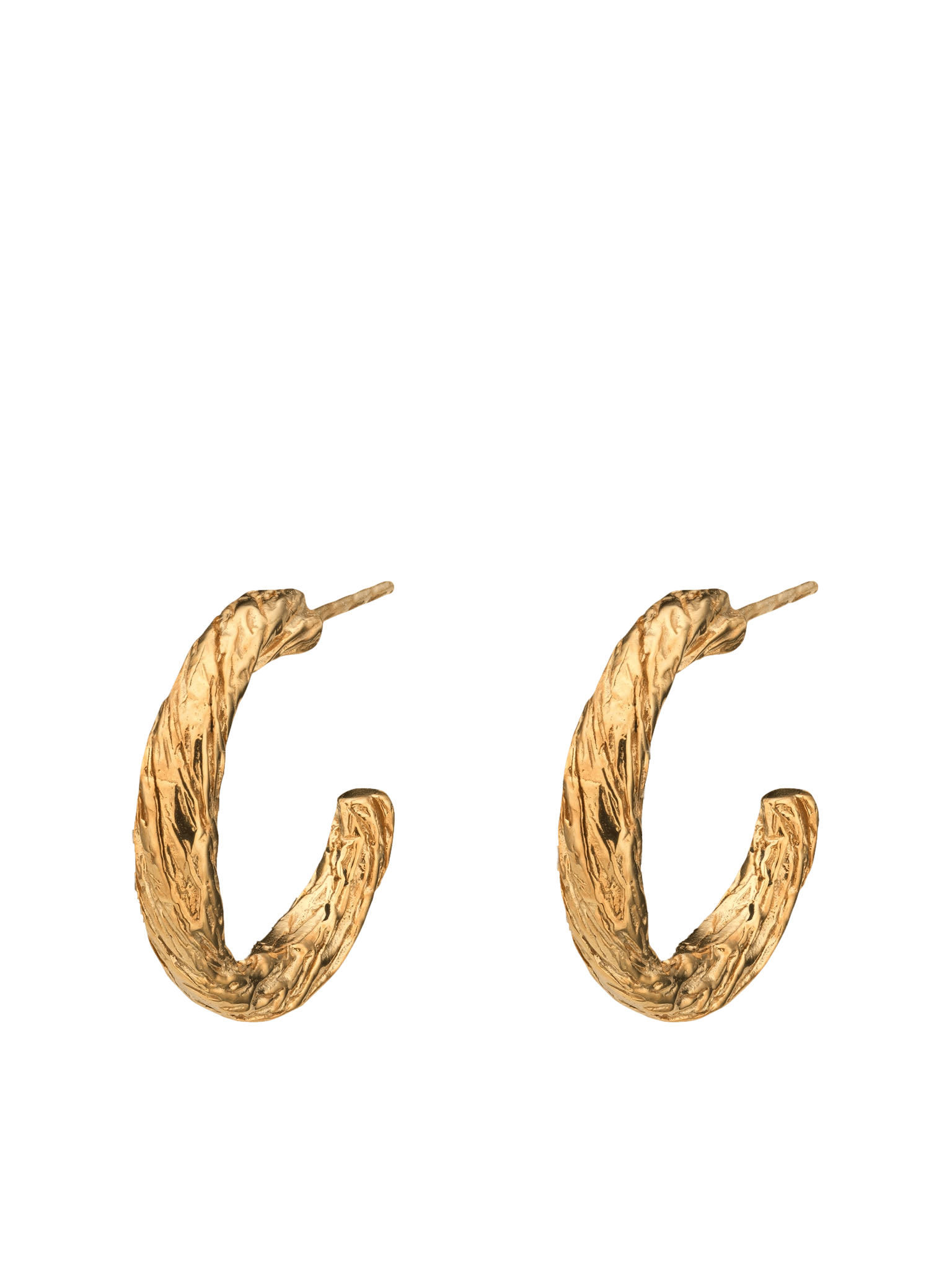 Archaic Small Hoop Earrings Gold in Gold made by Eva Remenyi