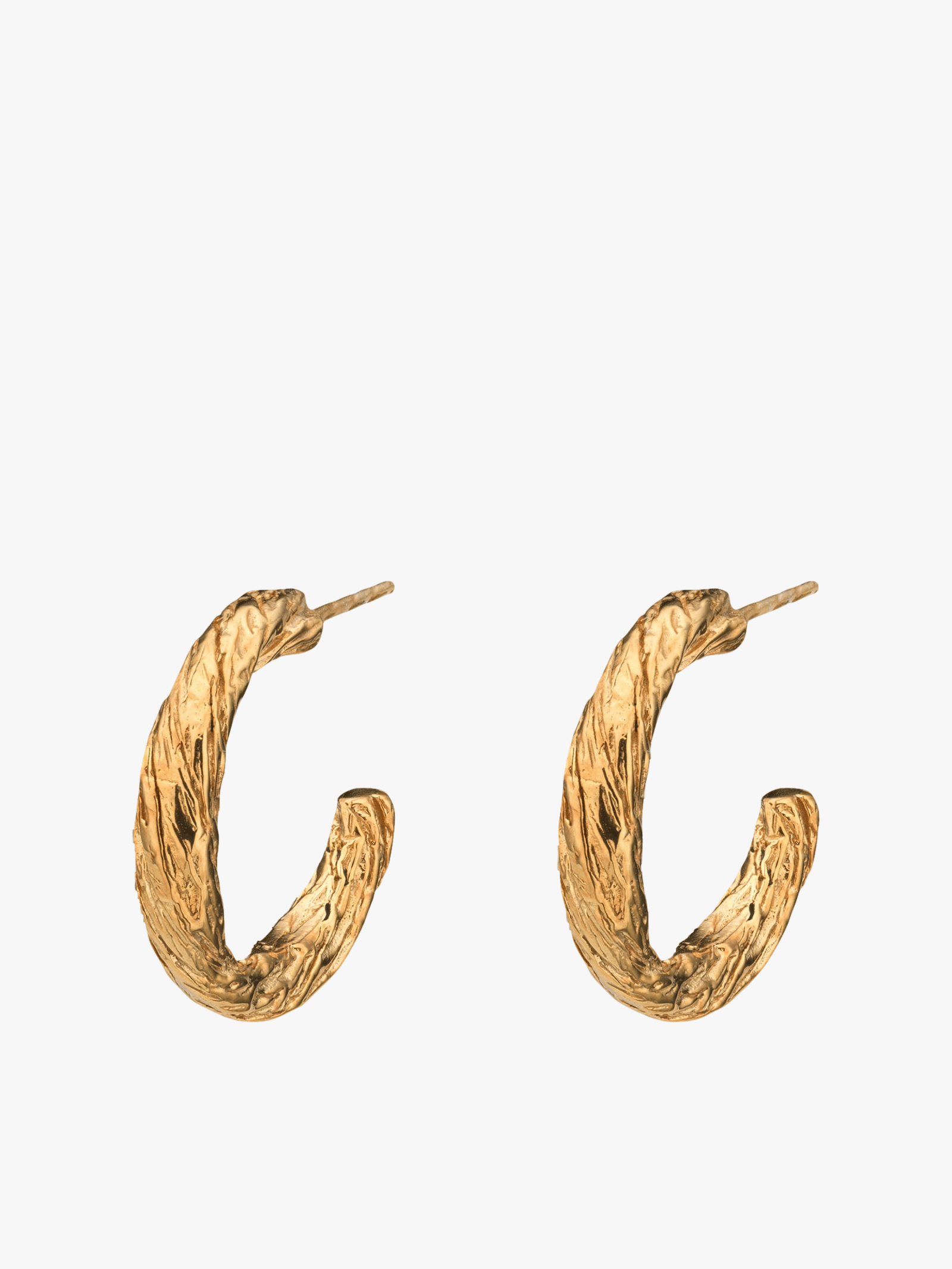 Archaic Small Hoop Earrings Gold in Gold made by Eva Remenyi