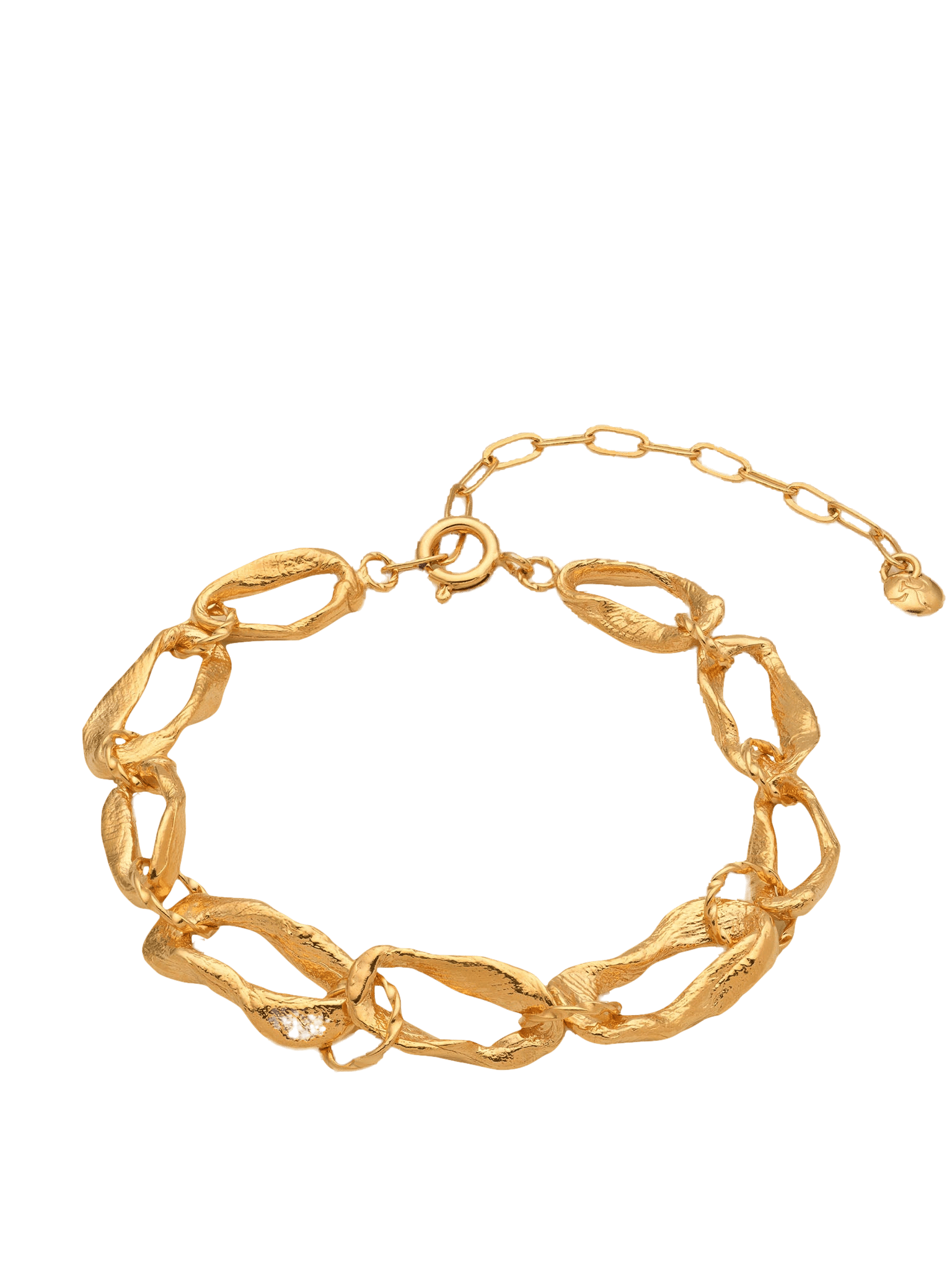 Vacation Chain Bracelet Gold in Gold made by Eva Remenyi