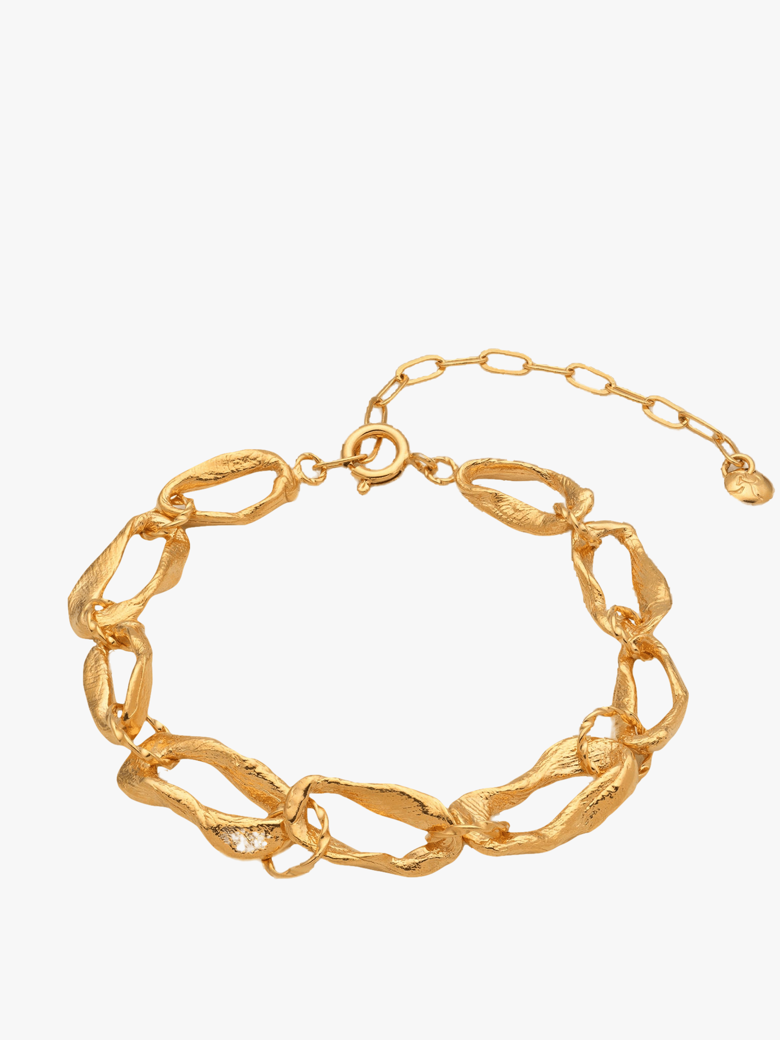 Vacation Chain Bracelet Gold in Gold made by Eva Remenyi