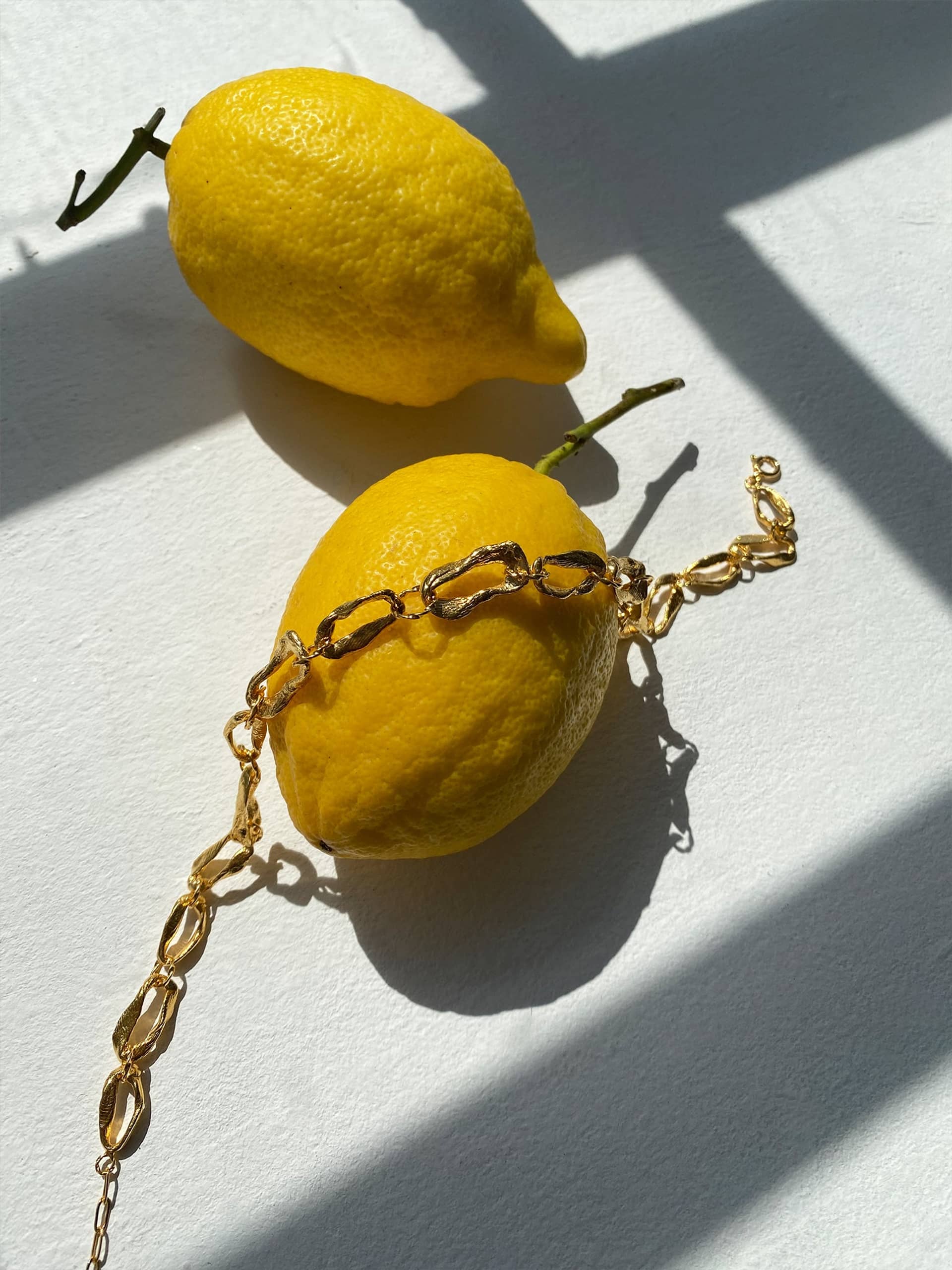 Vacation Chain Bracelet Gold in Gold made by Eva Remenyi