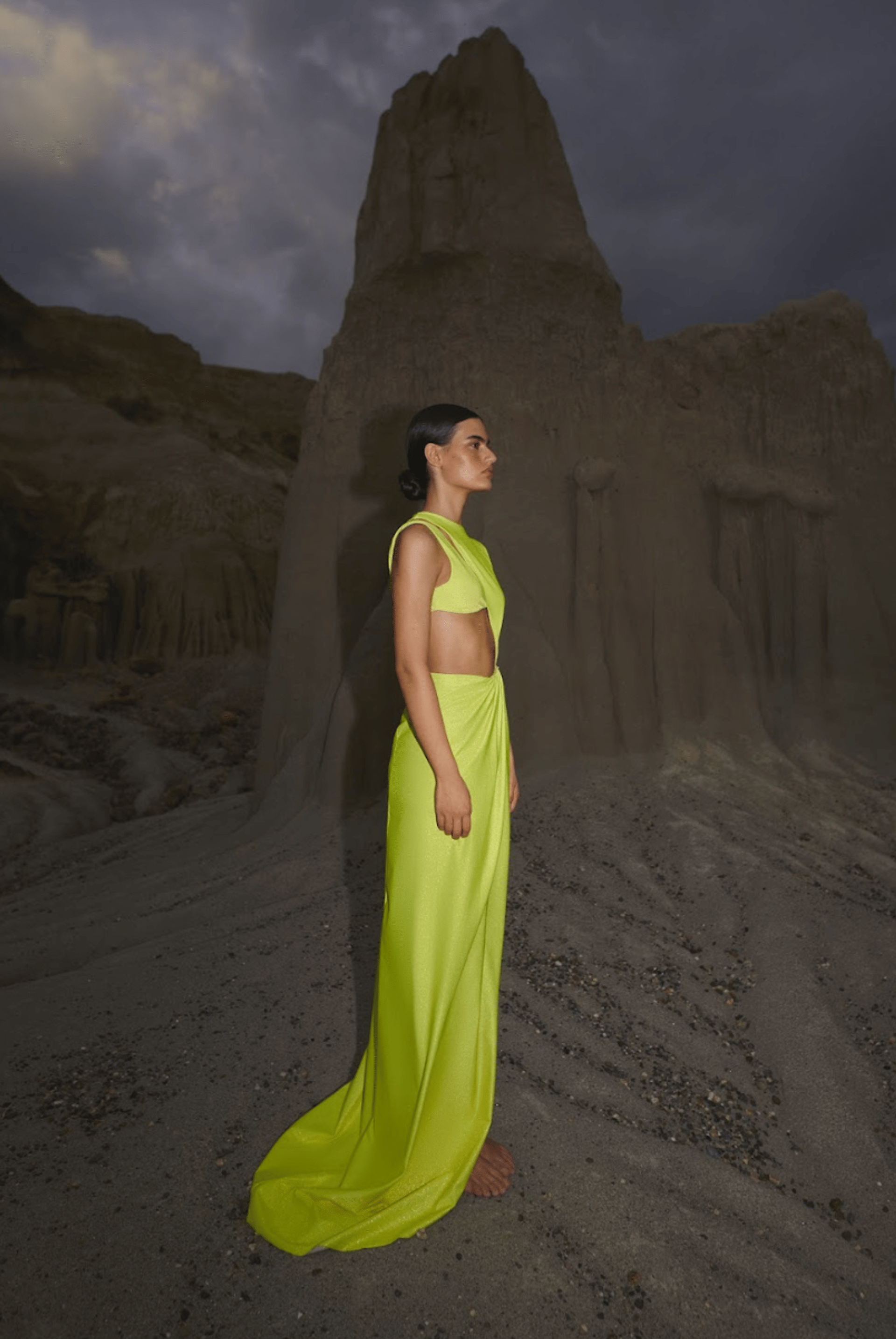 Joyce Dress made by BAOBAB