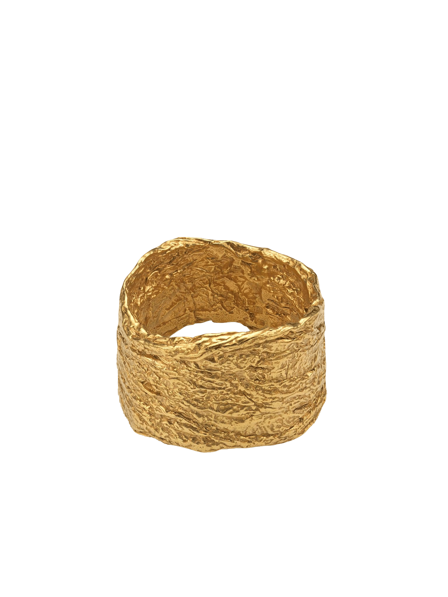 Archaic Ring Gold in Gold made by Eva Remenyi