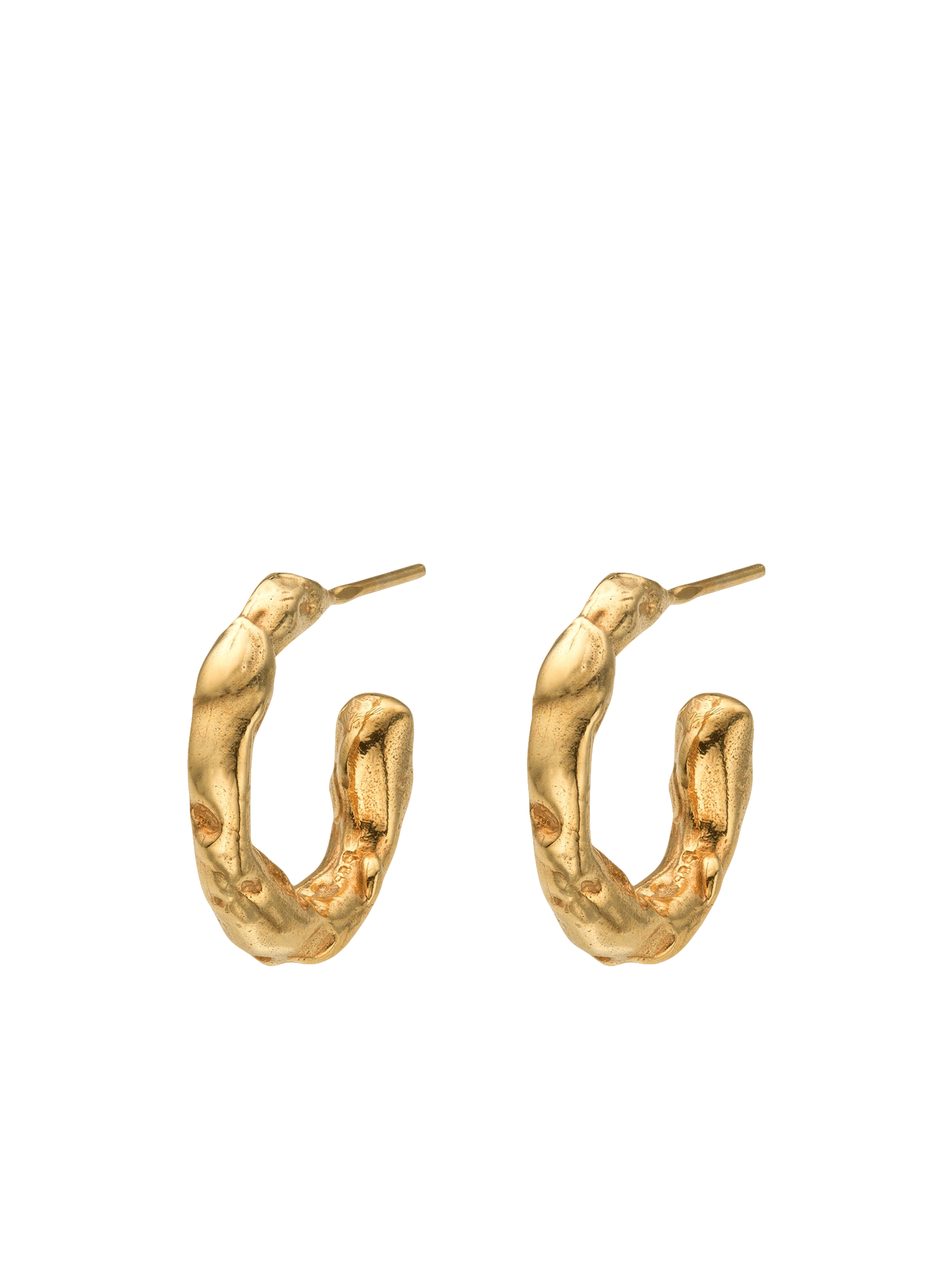 Talisman Small Hoop Earrings Gold made by Eva Remenyi