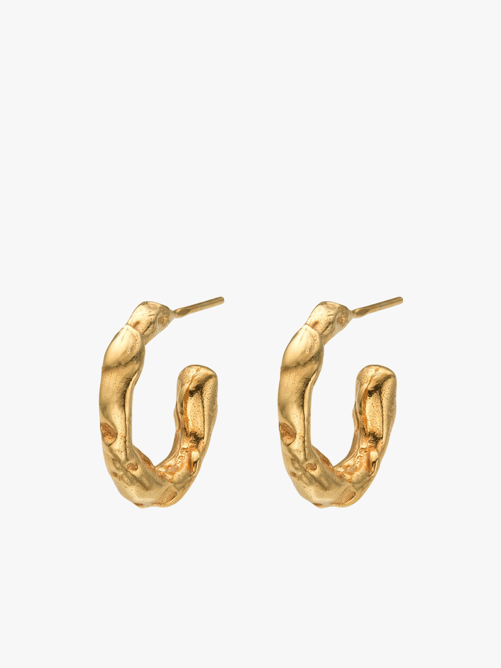Talisman Small Hoop Earrings Gold made by Eva Remenyi