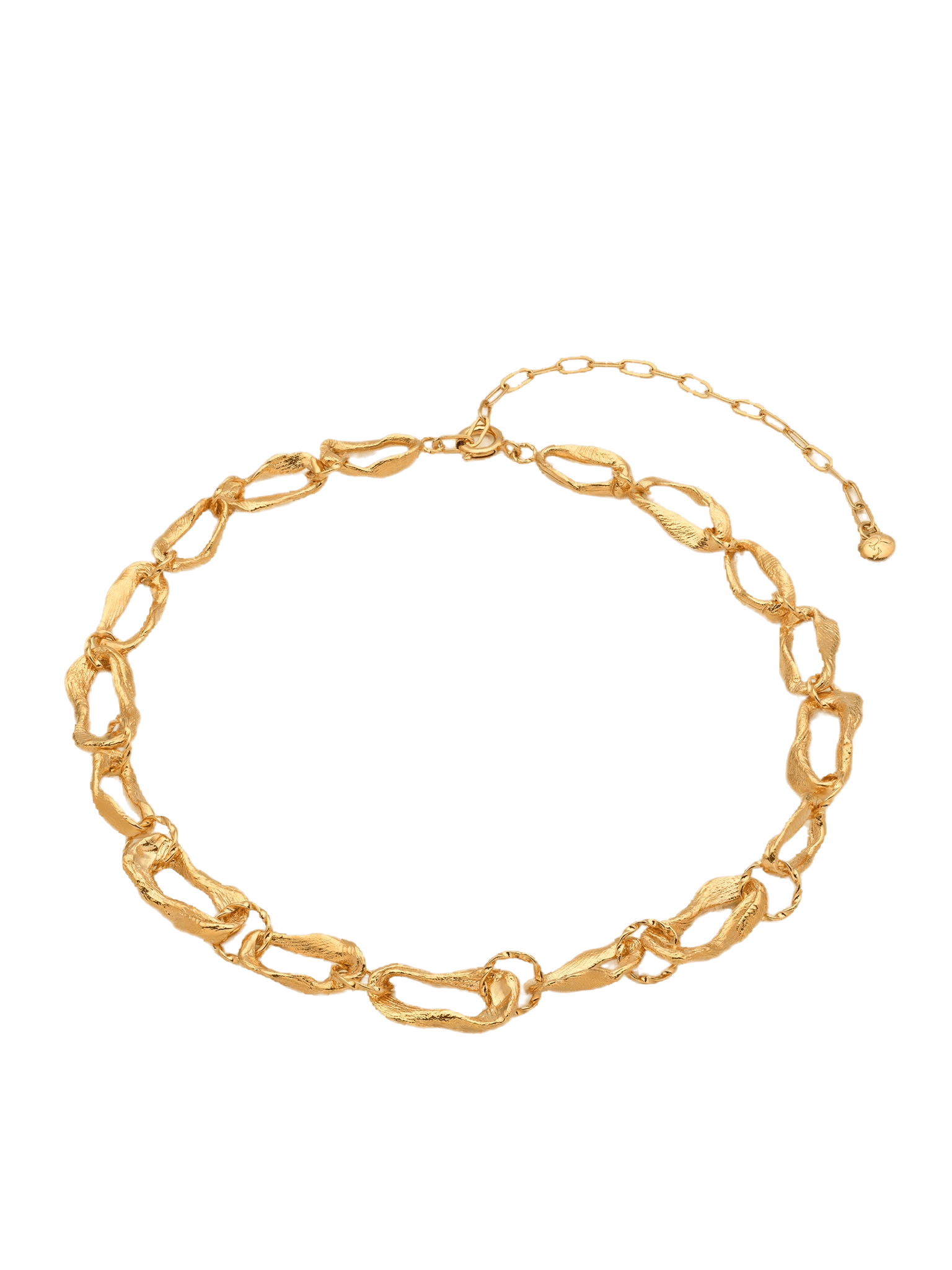 Vacation Chain Choker Necklace Gold in Gold made by Eva Remenyi