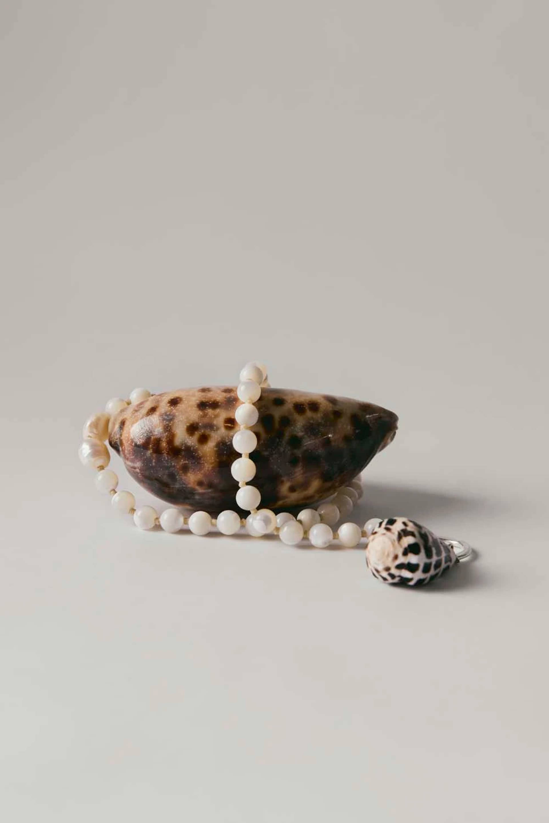 Nassa Necklace made by BAOBAB