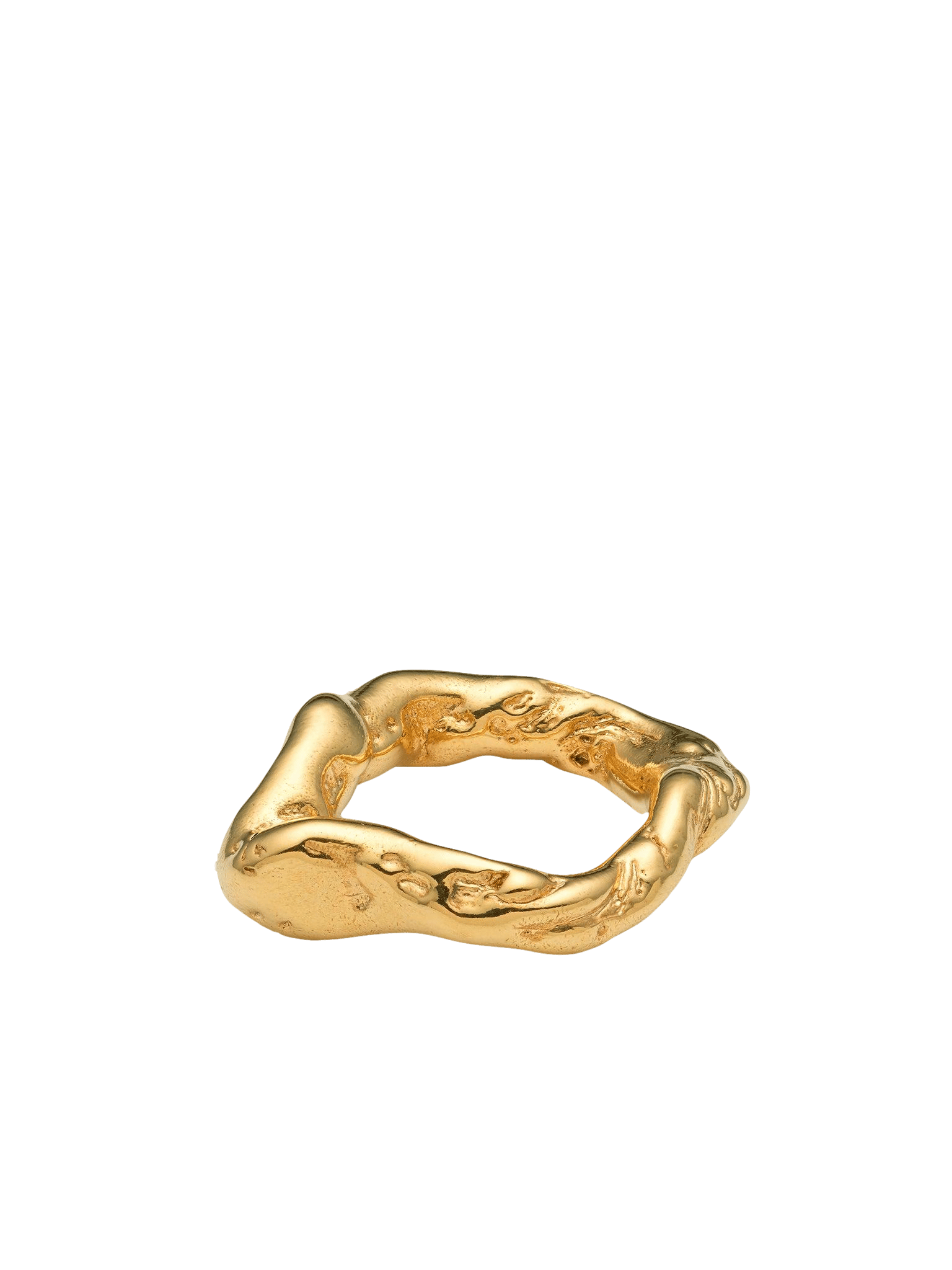 Talisman Flow Ring Gold in Gold made by Eva Remenyi